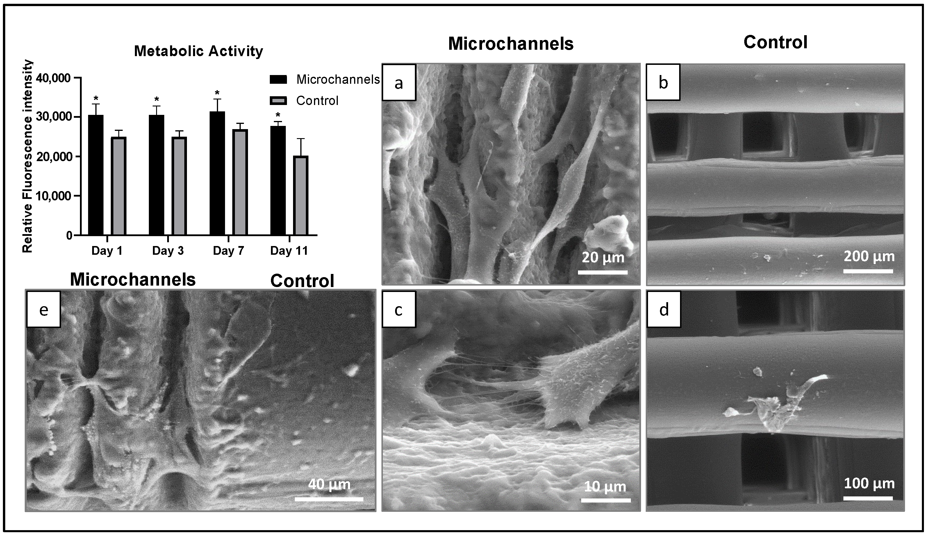 Polymers 14 02382 g008