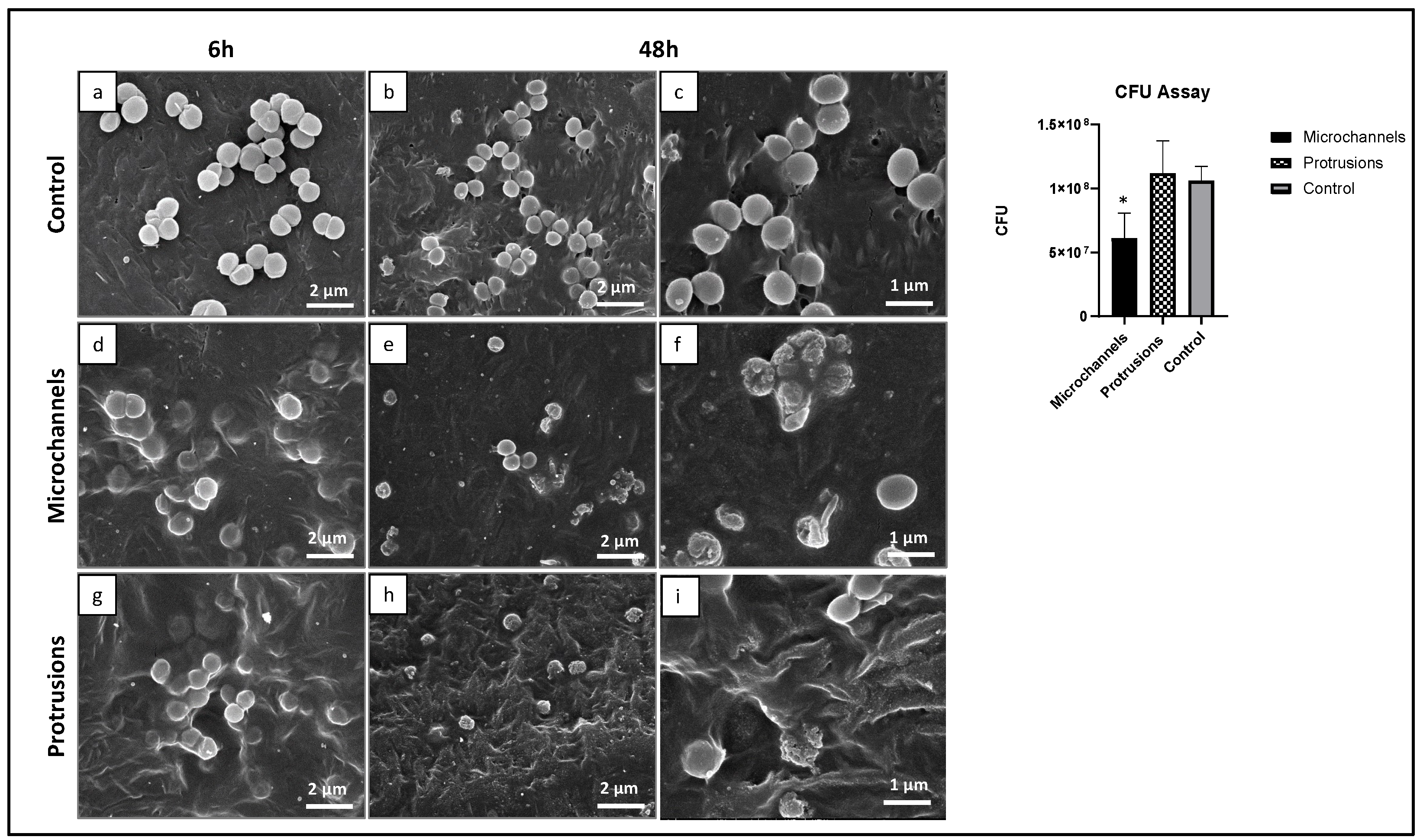 Polymers 14 02382 g010