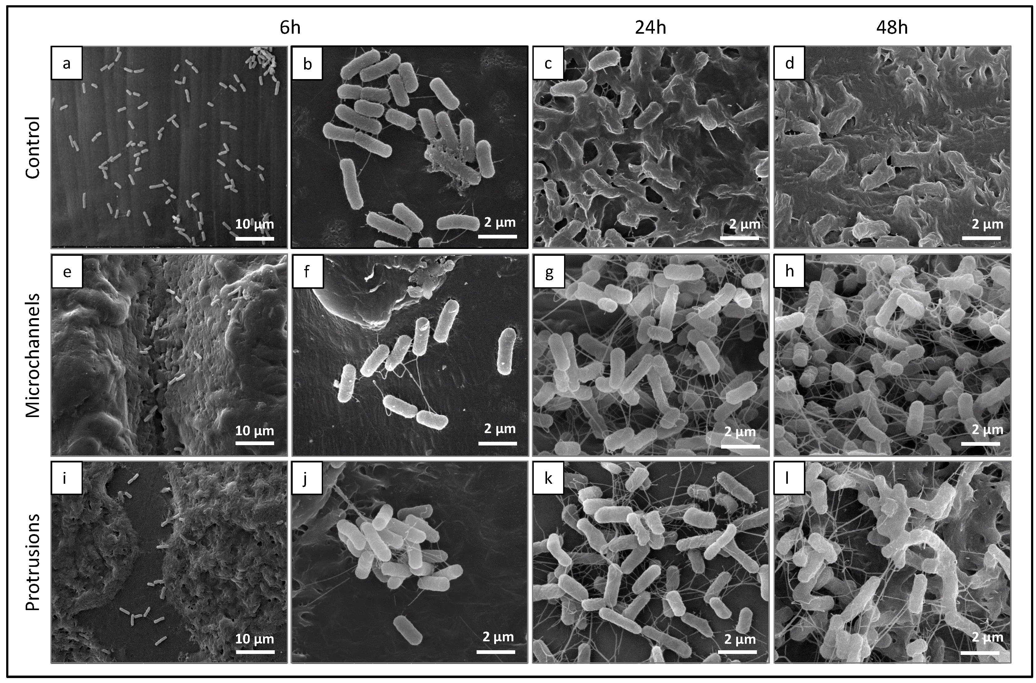 Polymers 14 02382 g011