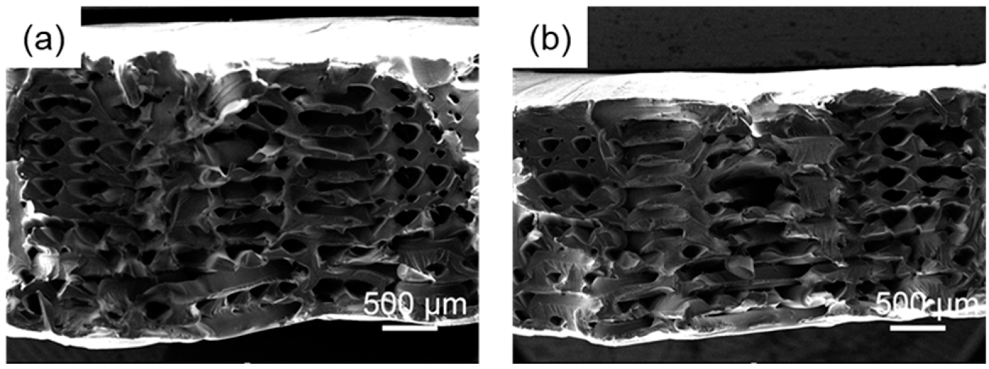 Polymers 14 02385 g015 Polymers 14 02385 g015
