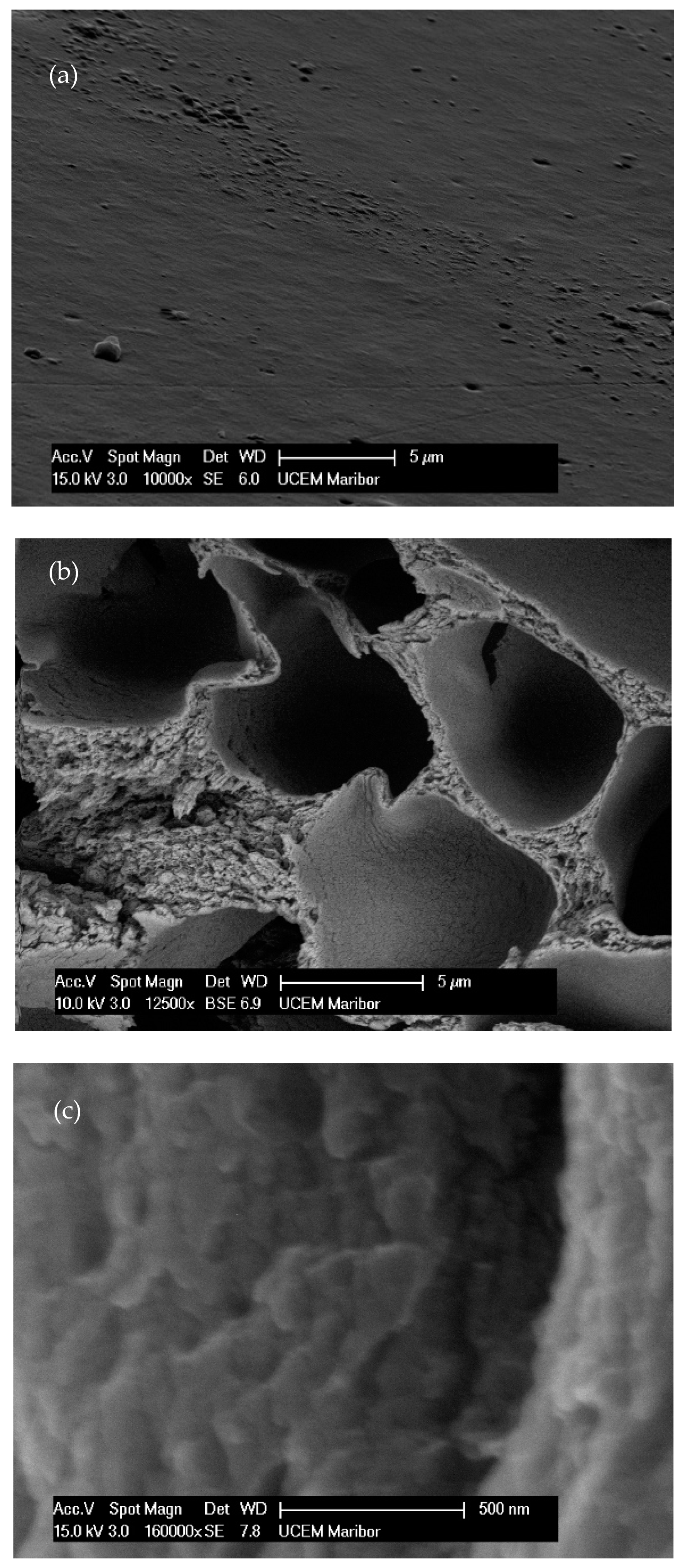 Polymers 14 02399 g003a