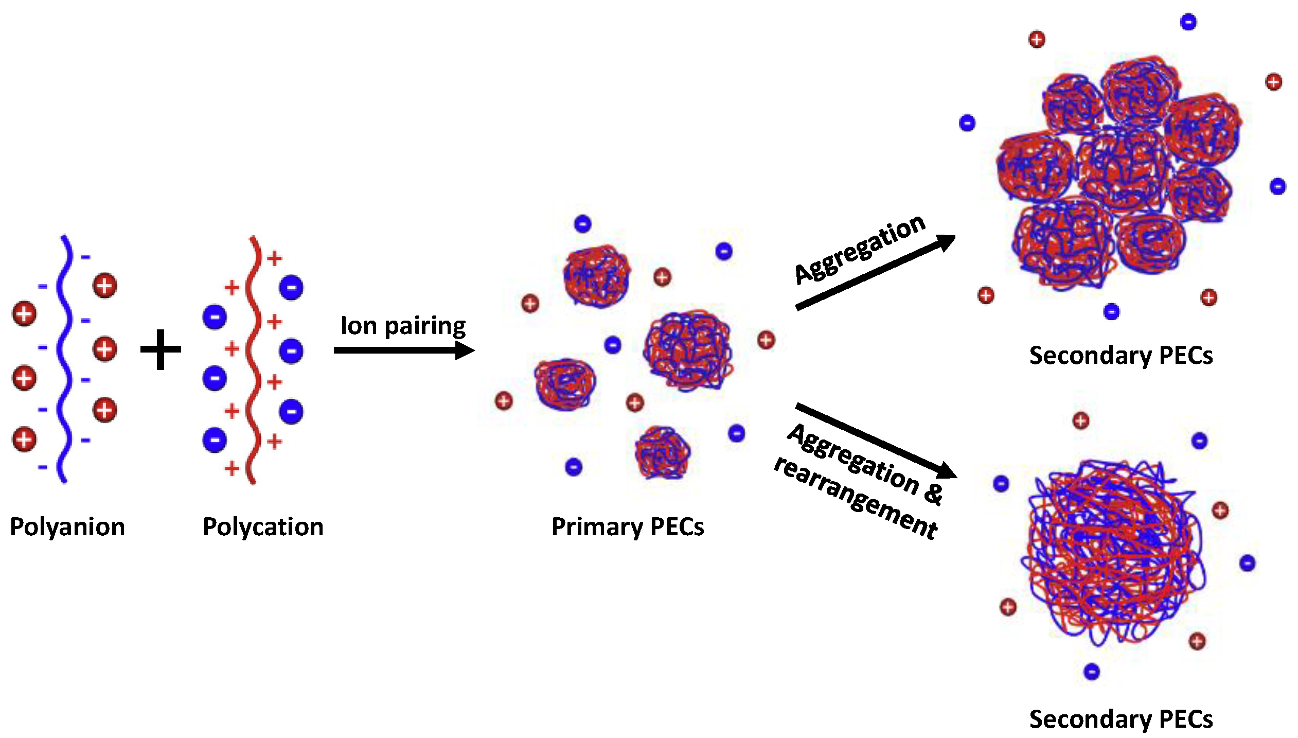 Polymers 14 02404 g001