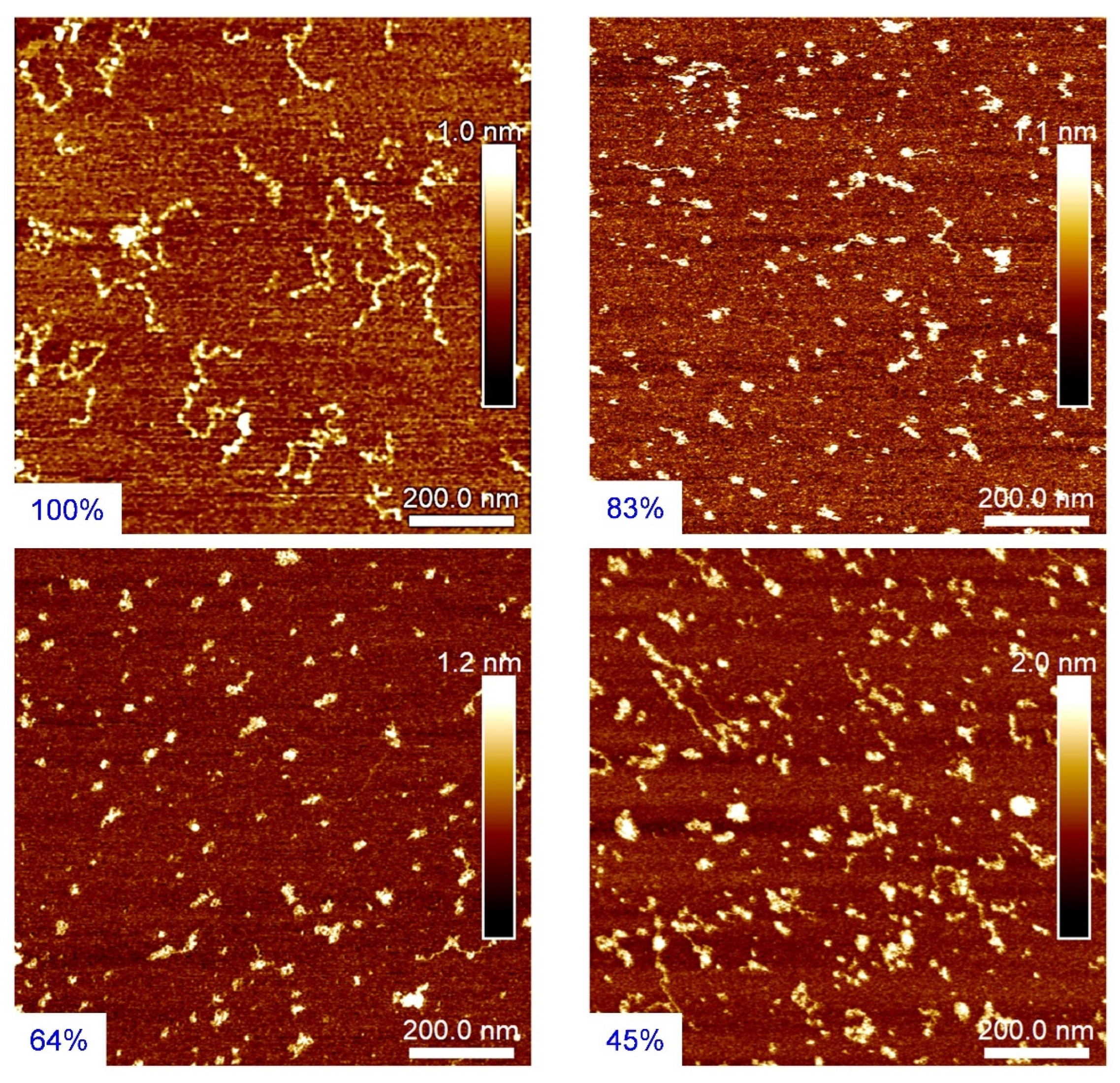 Polymers 14 02404 g004