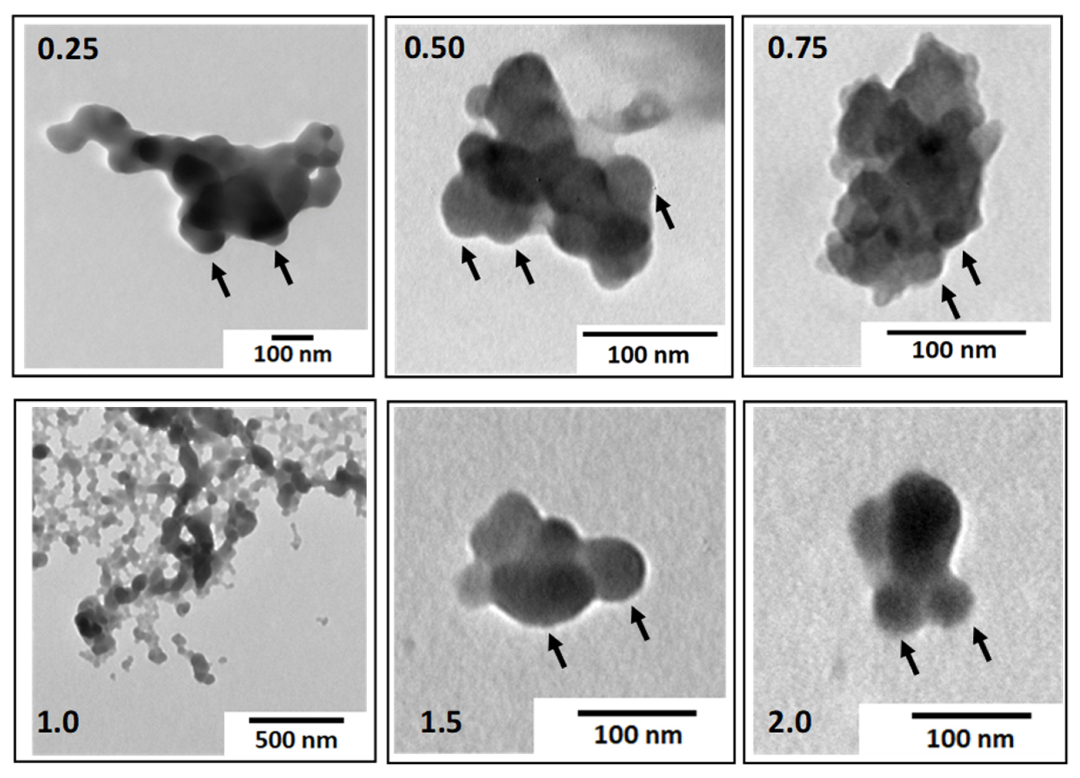 Polymers 14 02404 g006