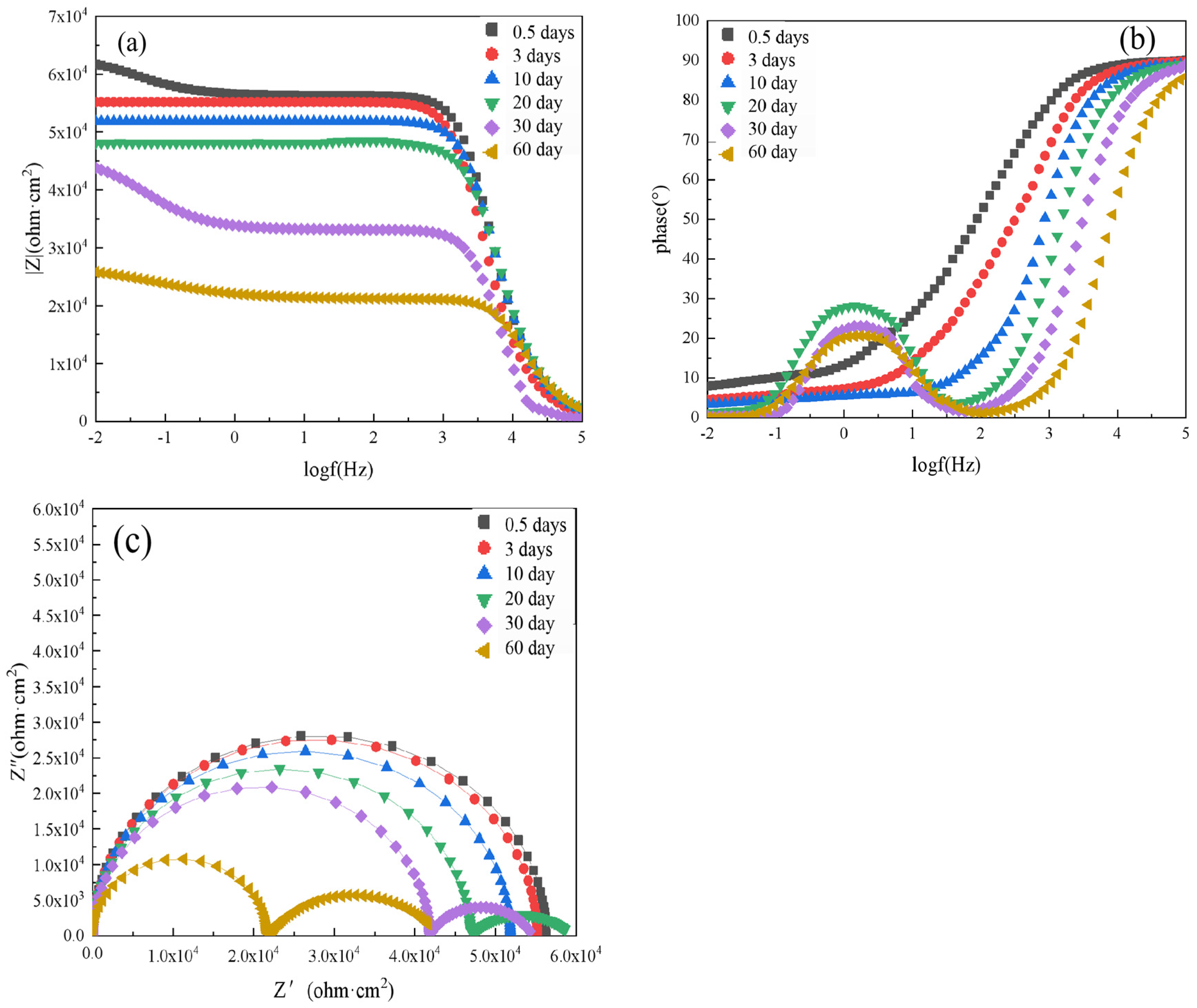 Polymers 14 02405 g008