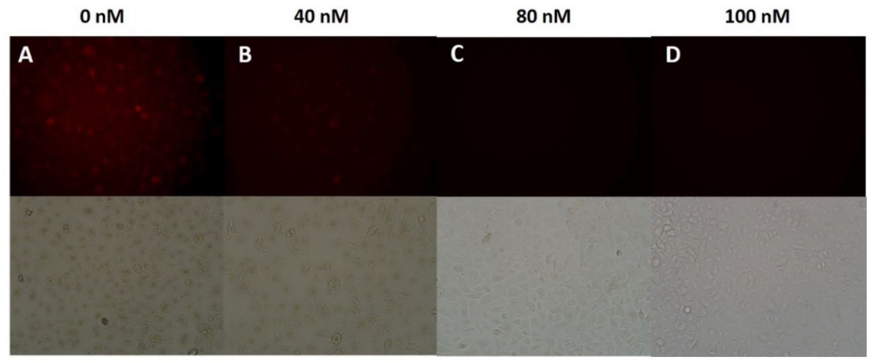 Polymers 14 02420 g010