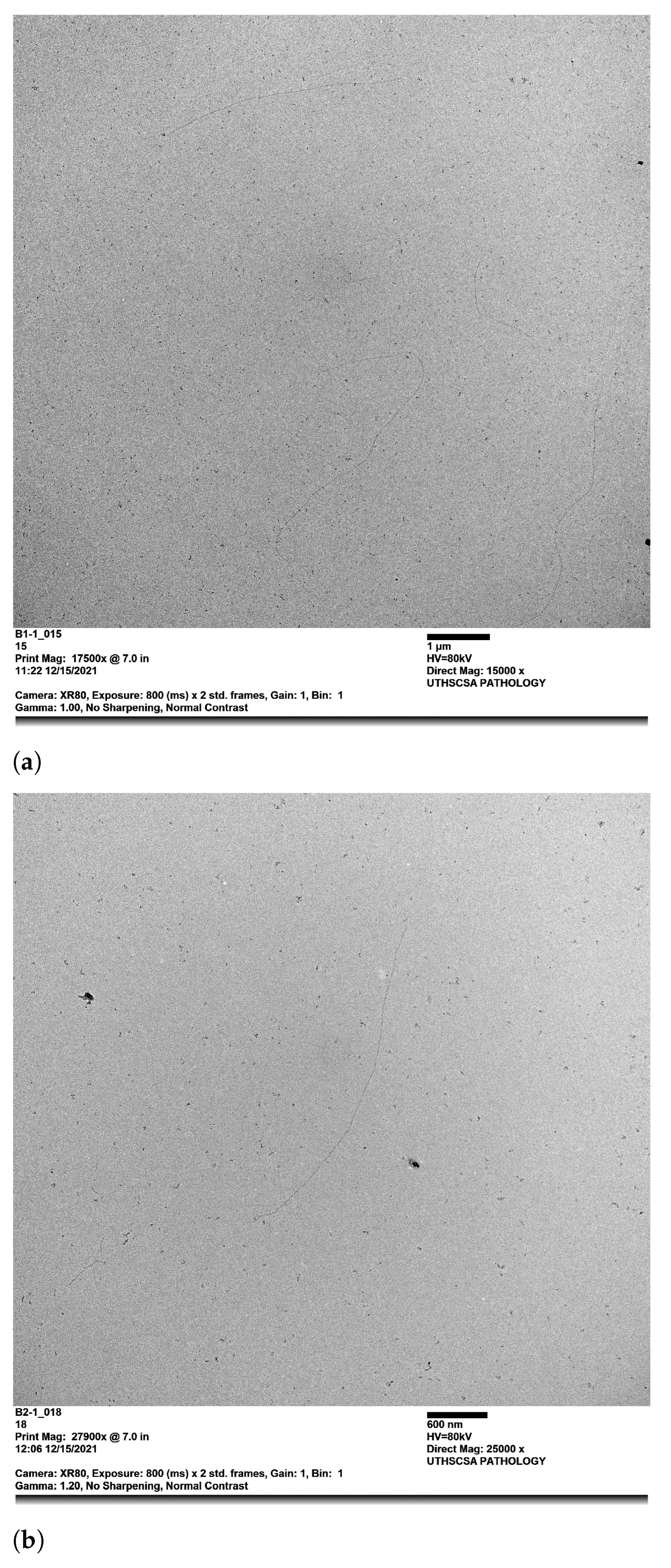 Polymers 14 02438 g009a