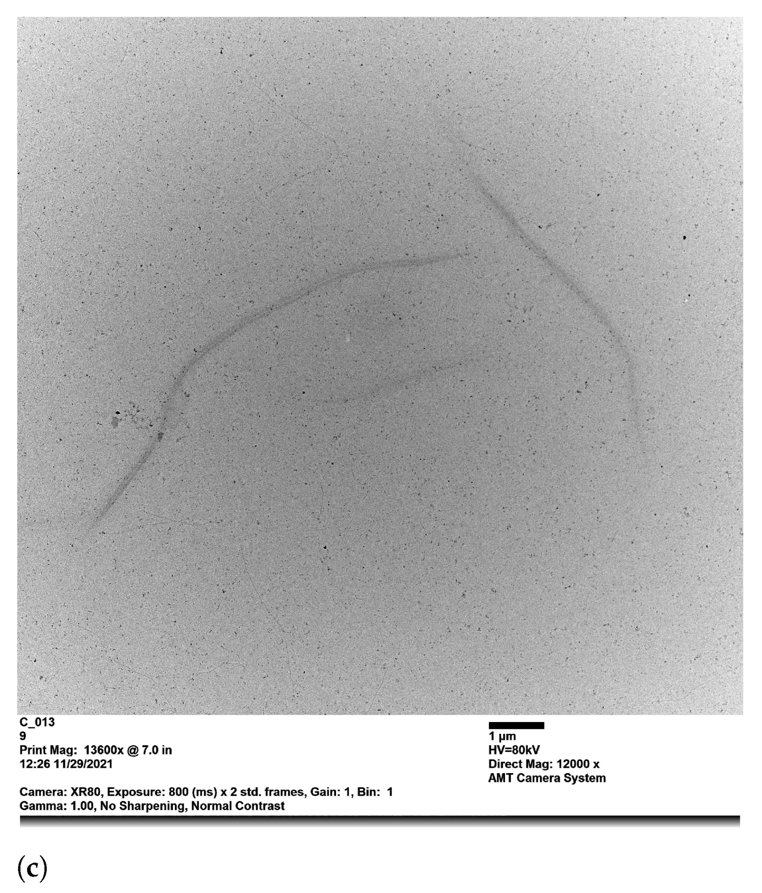 Polymers 14 02438 g009b