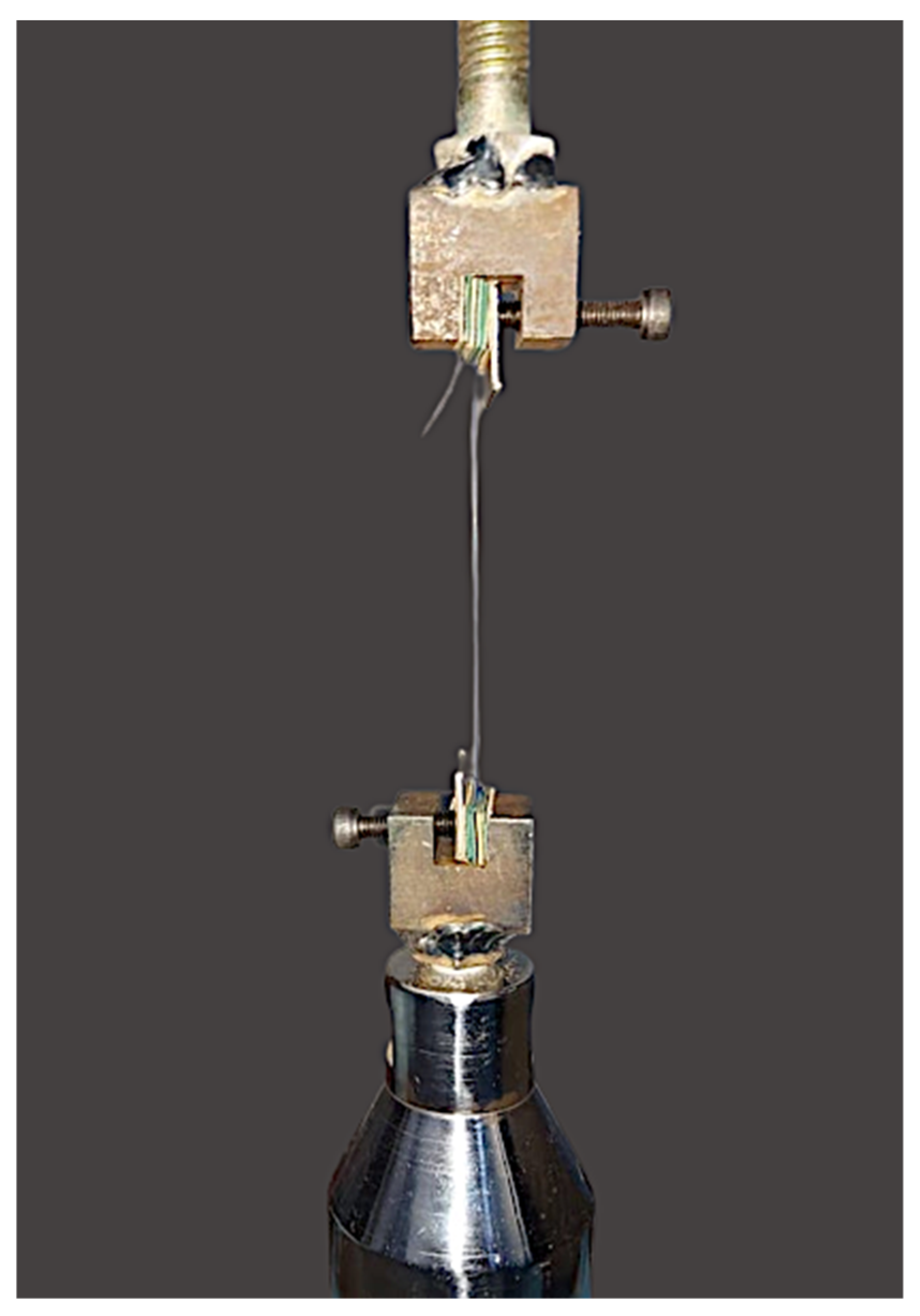 Polymers 14 02439 g002