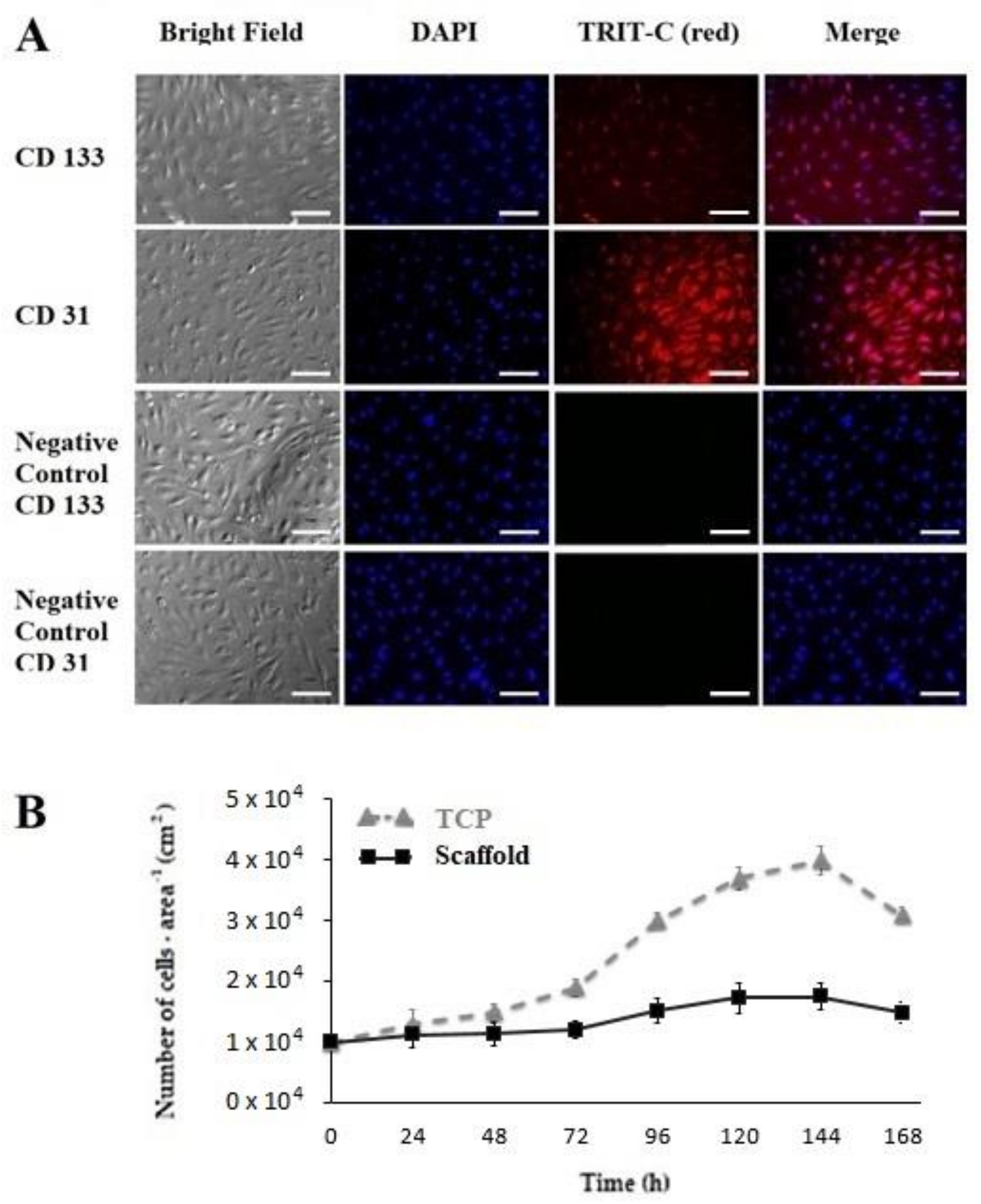 Polymers 14 02448 g004