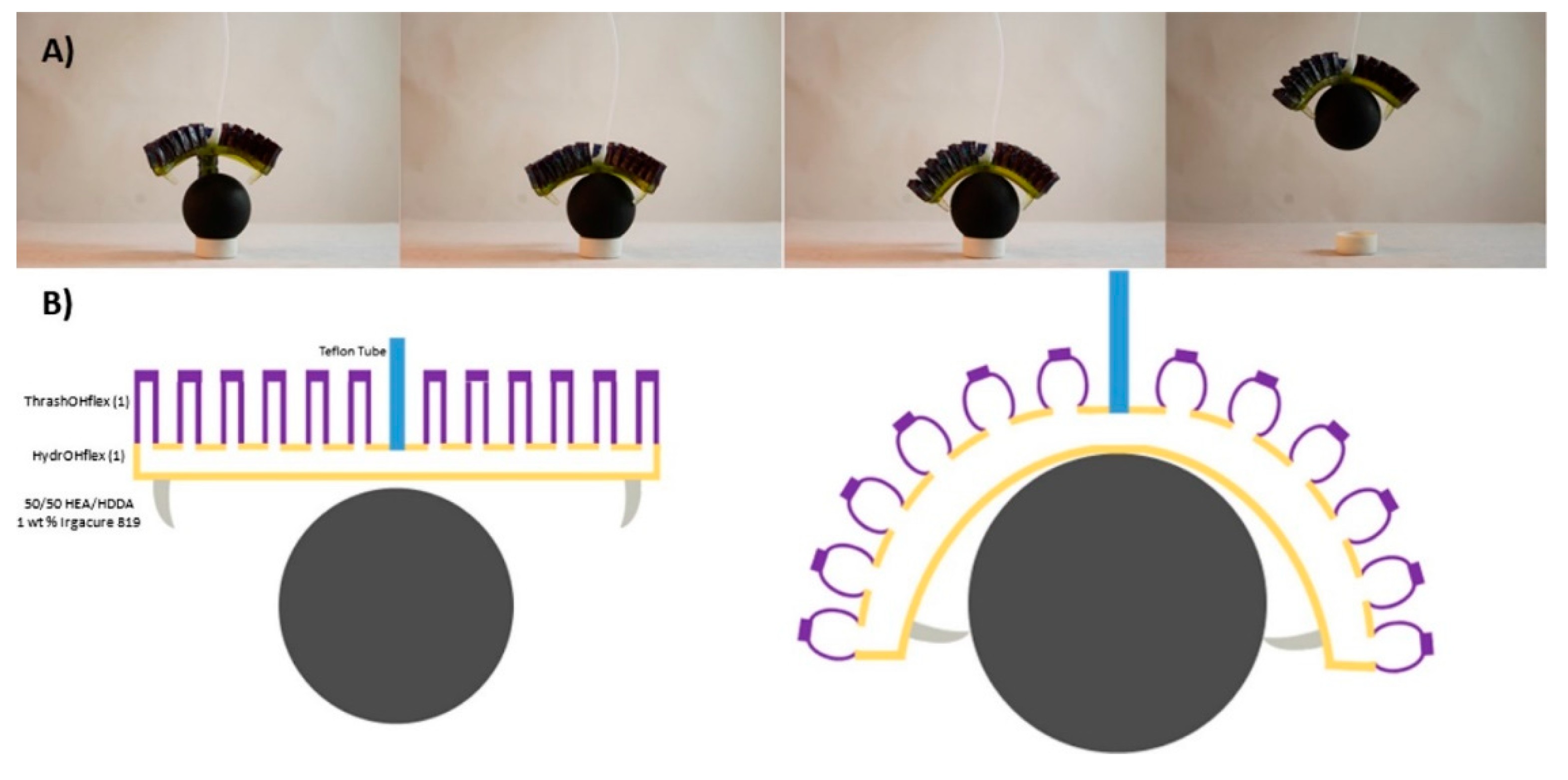 Polymers 14 02449 g043