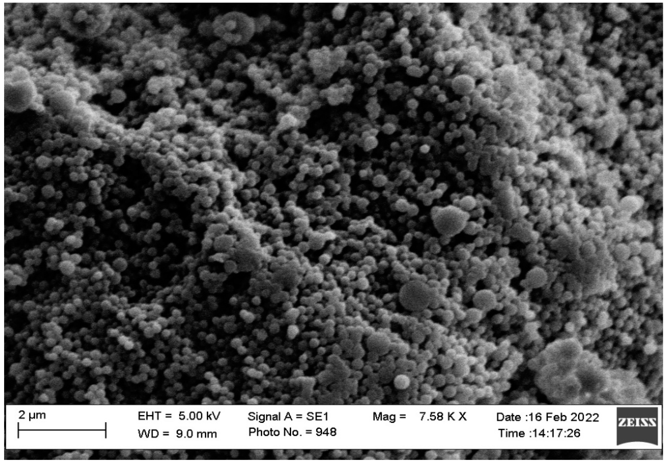 Polymers 14 02459 g007