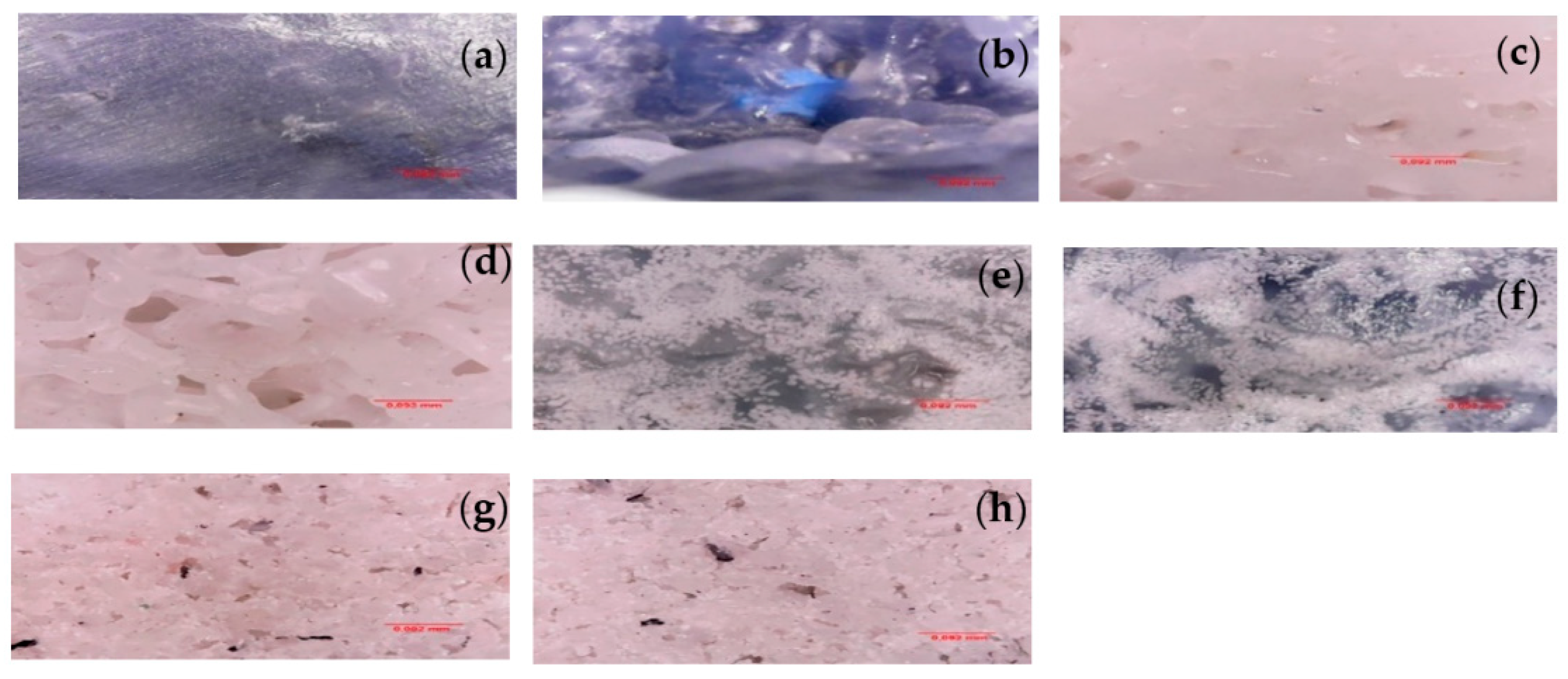 Polymers 14 02463 g003