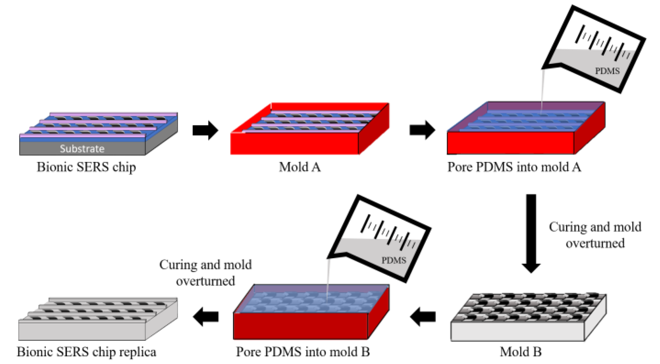Polymers 14 02465 g002