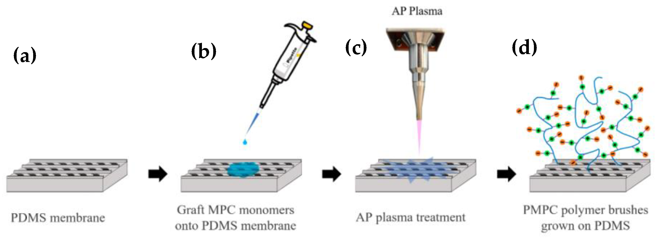 Polymers 14 02465 g003