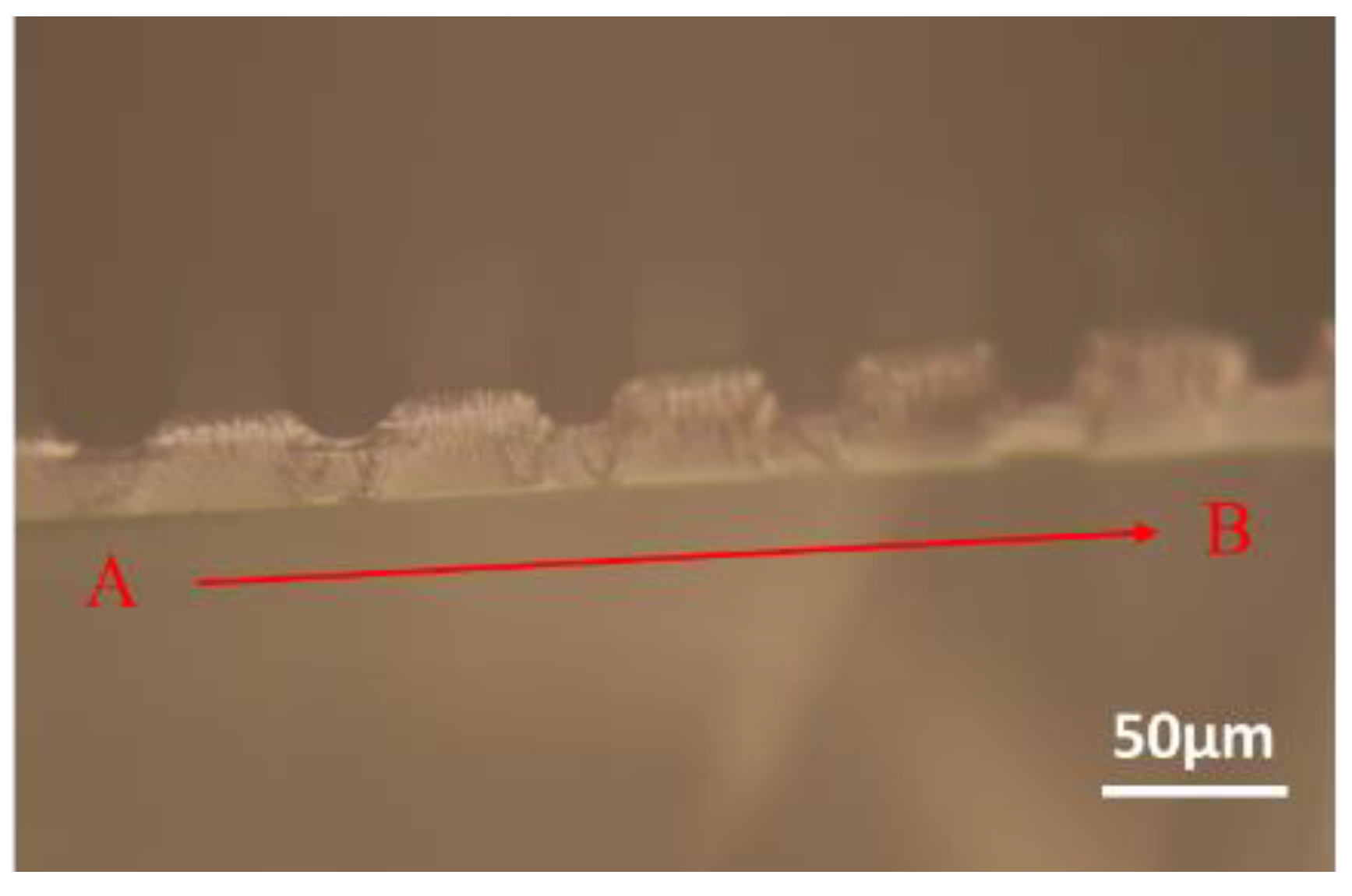 Polymers 14 02465 g005