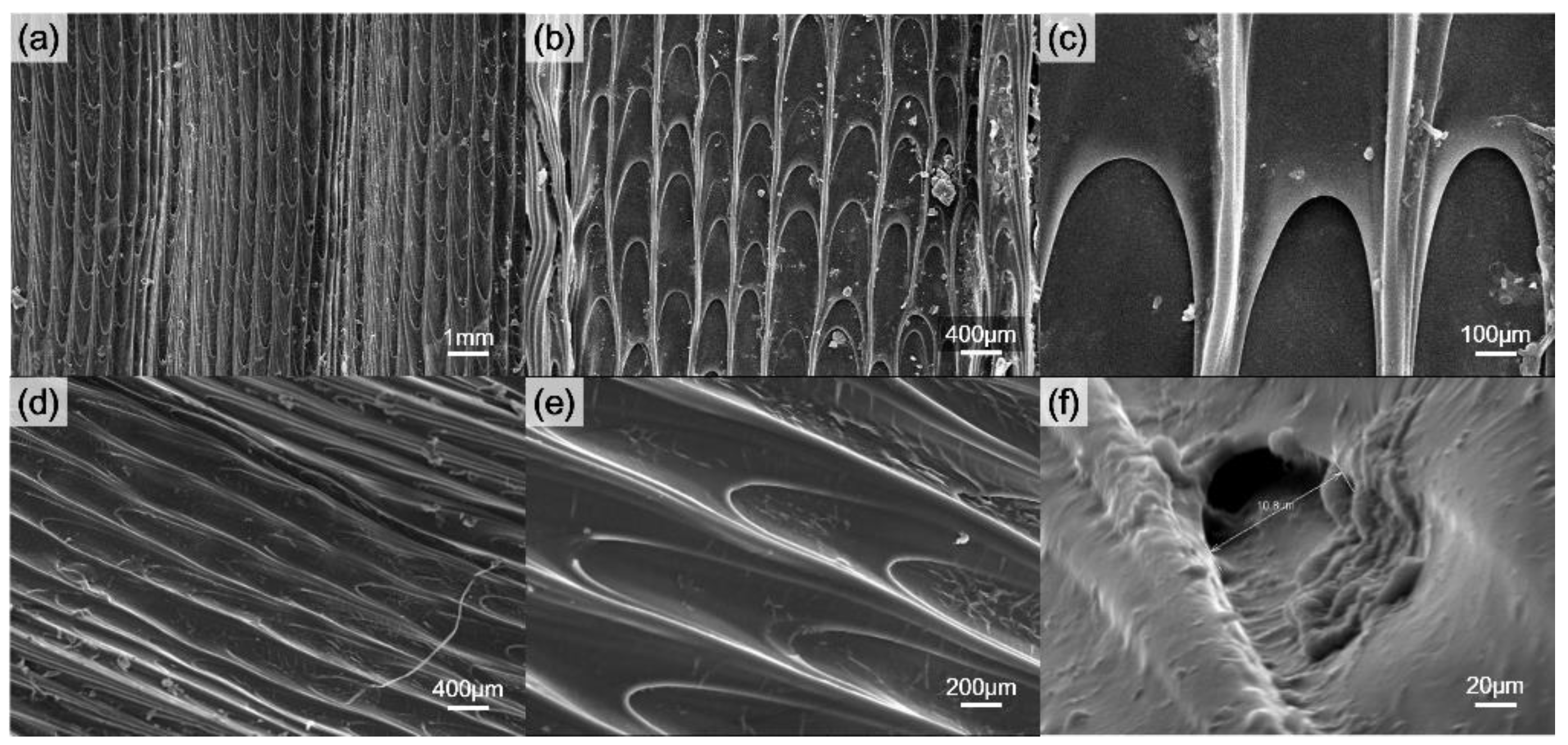 Polymers 14 02465 g006