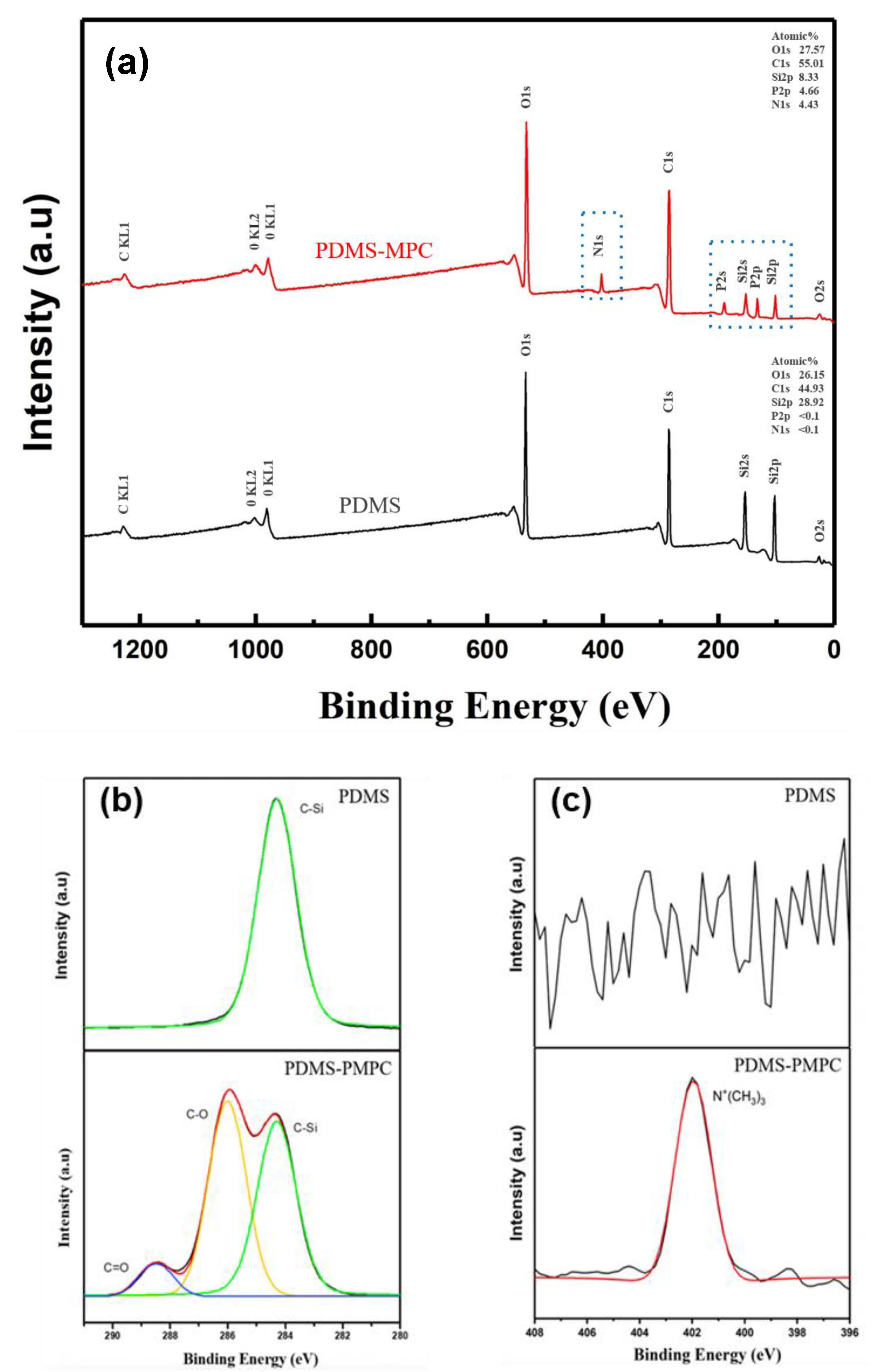 Polymers 14 02465 g009