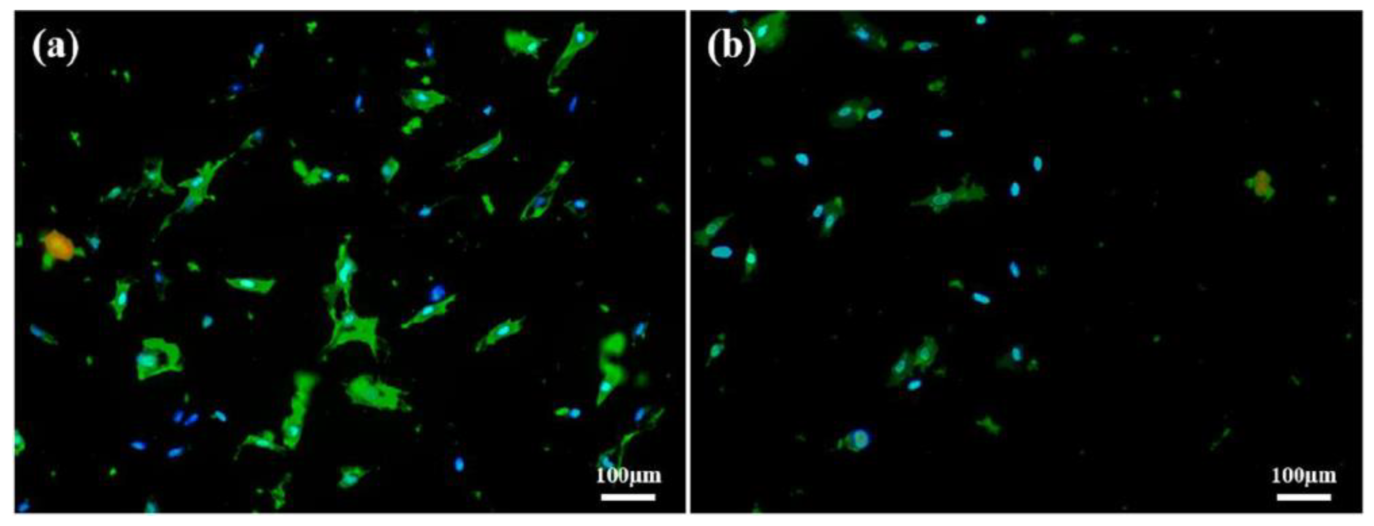 Polymers 14 02465 g012