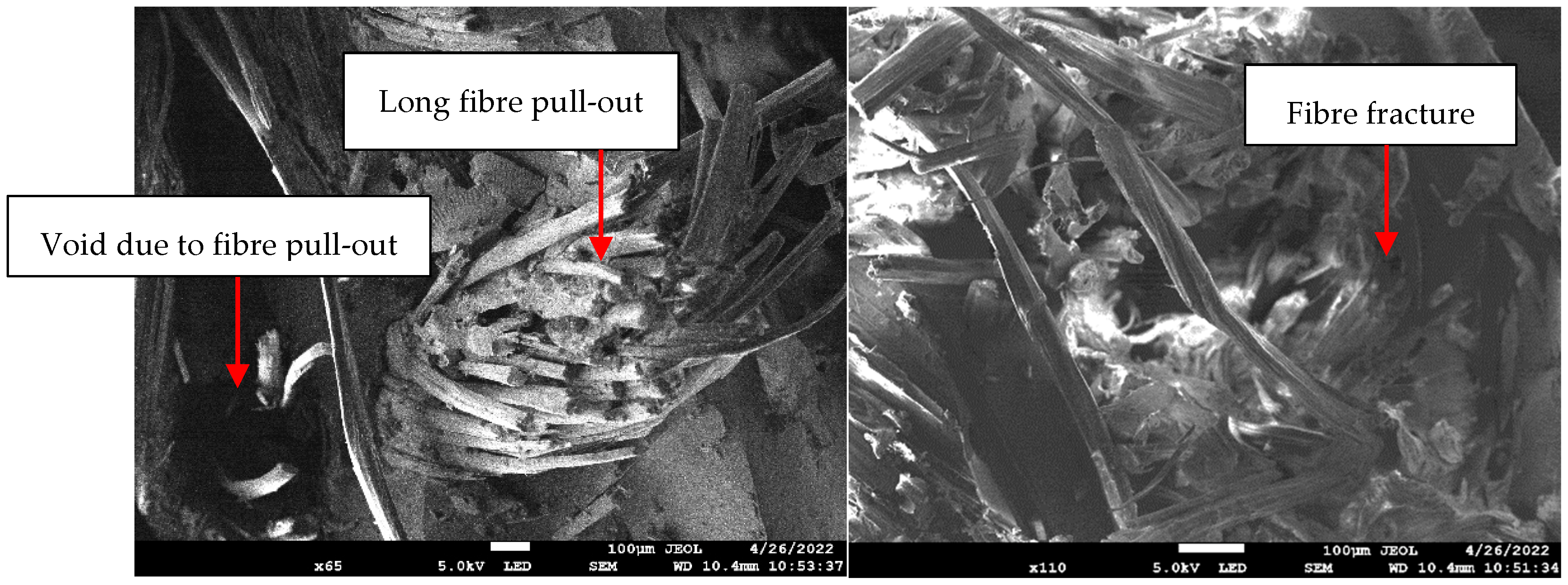 Polymers 14 02468 g010