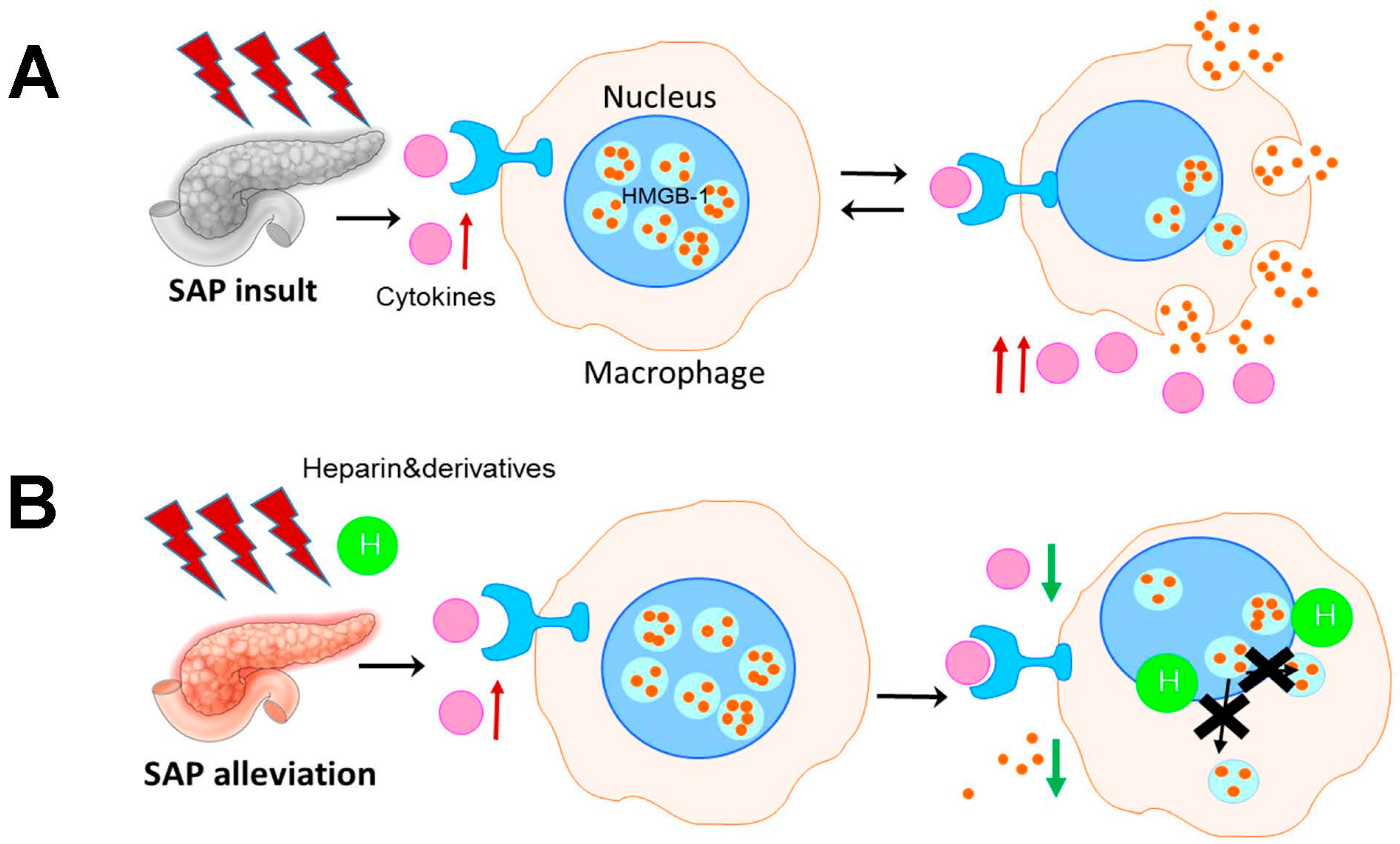 Polymers 14 02470 g001