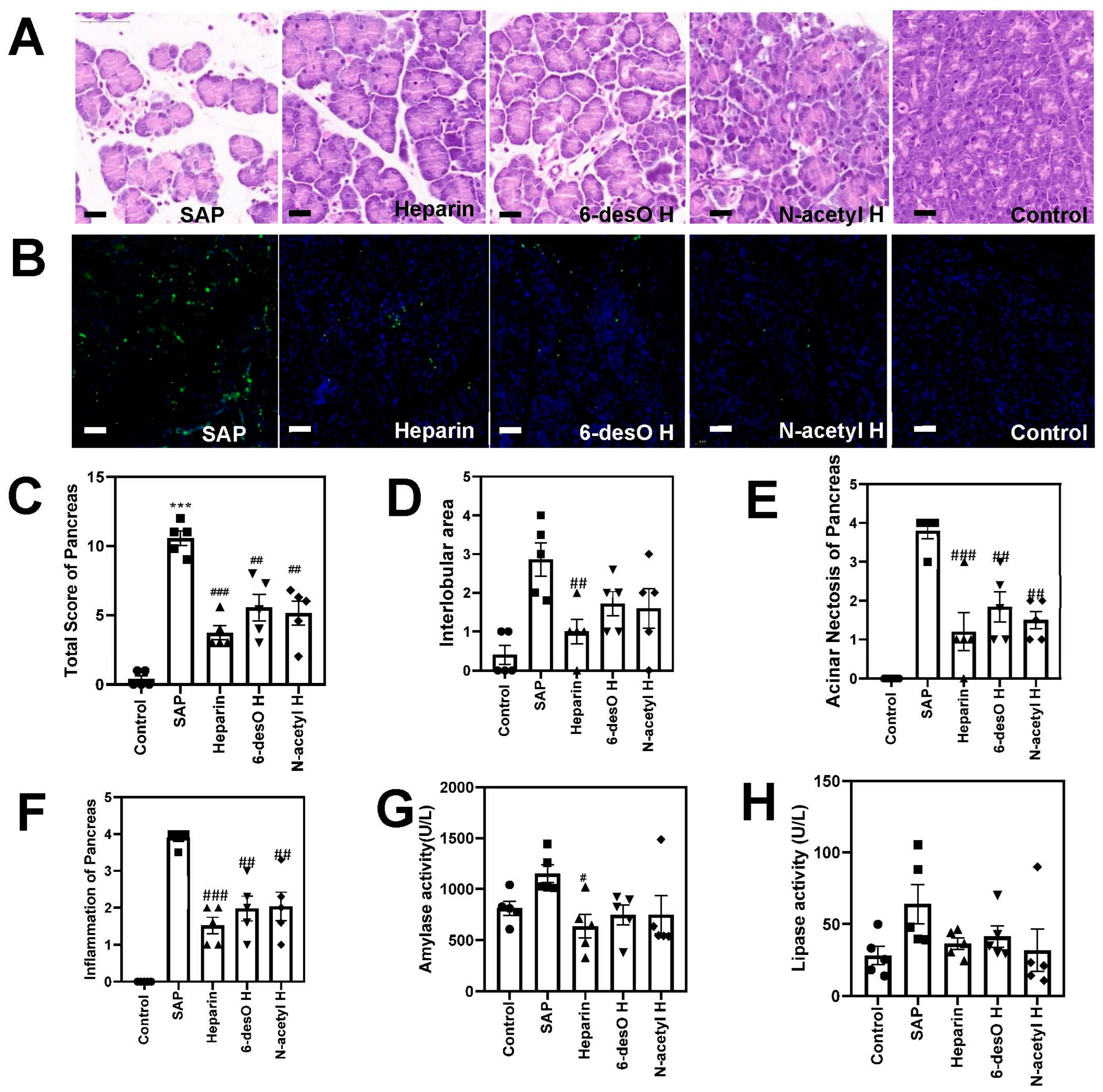 Polymers 14 02470 g002