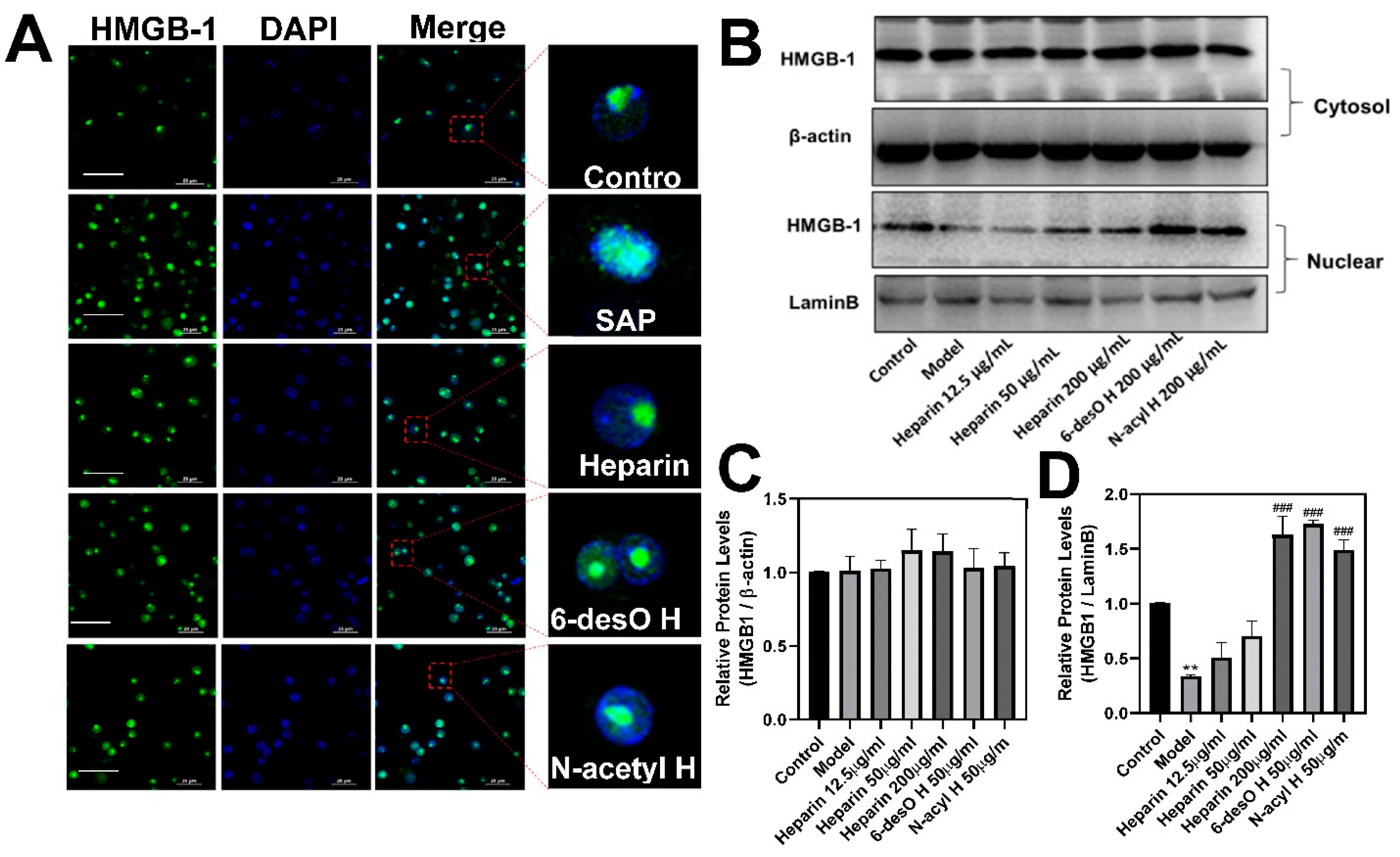 Polymers 14 02470 g005