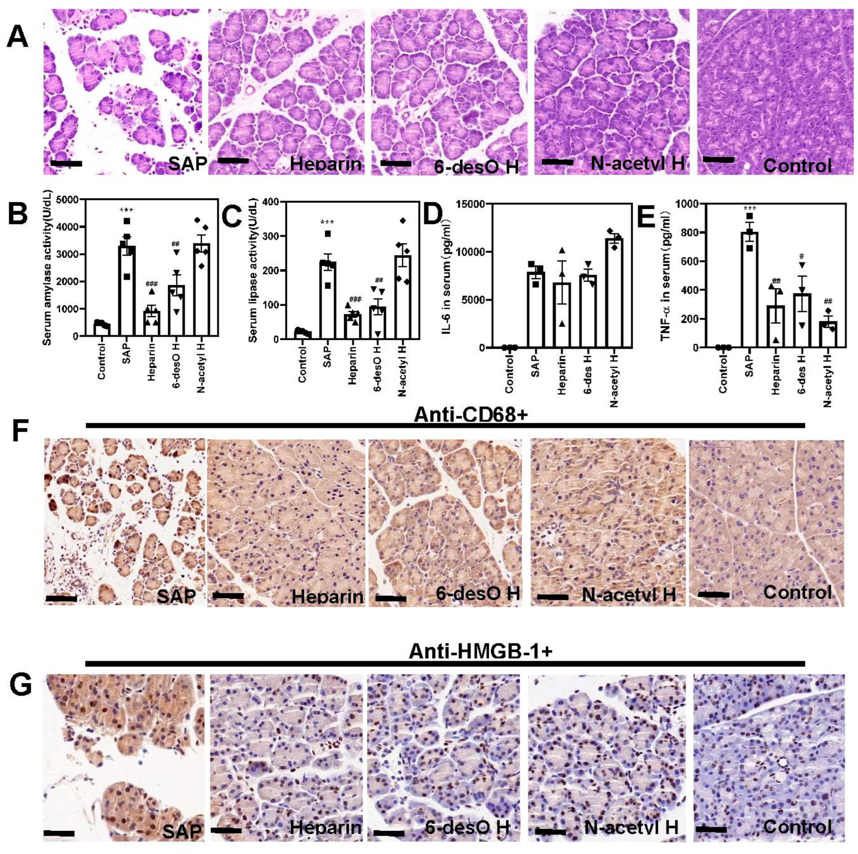Polymers 14 02470 g006