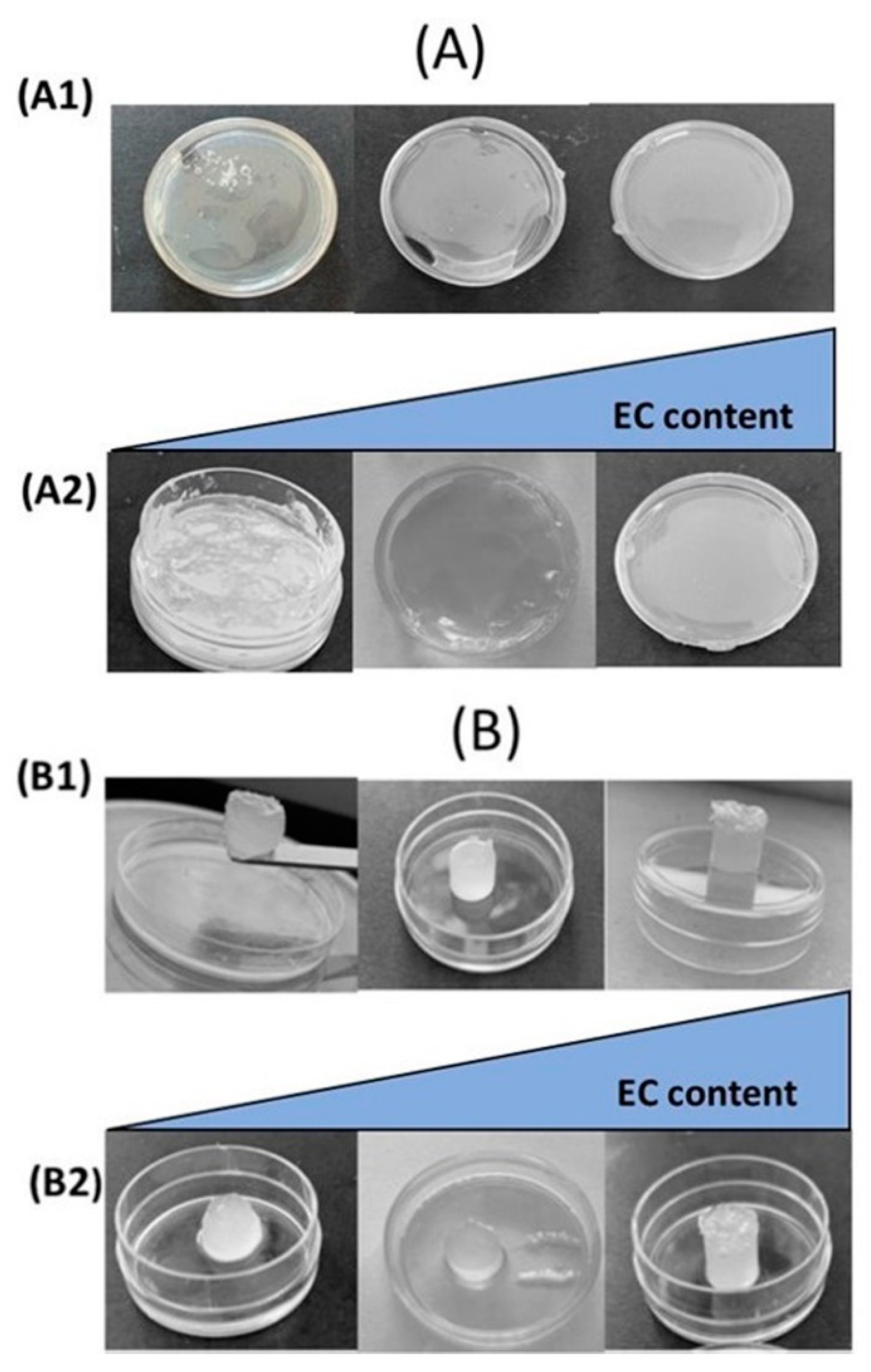 Polymers 14 02473 g001