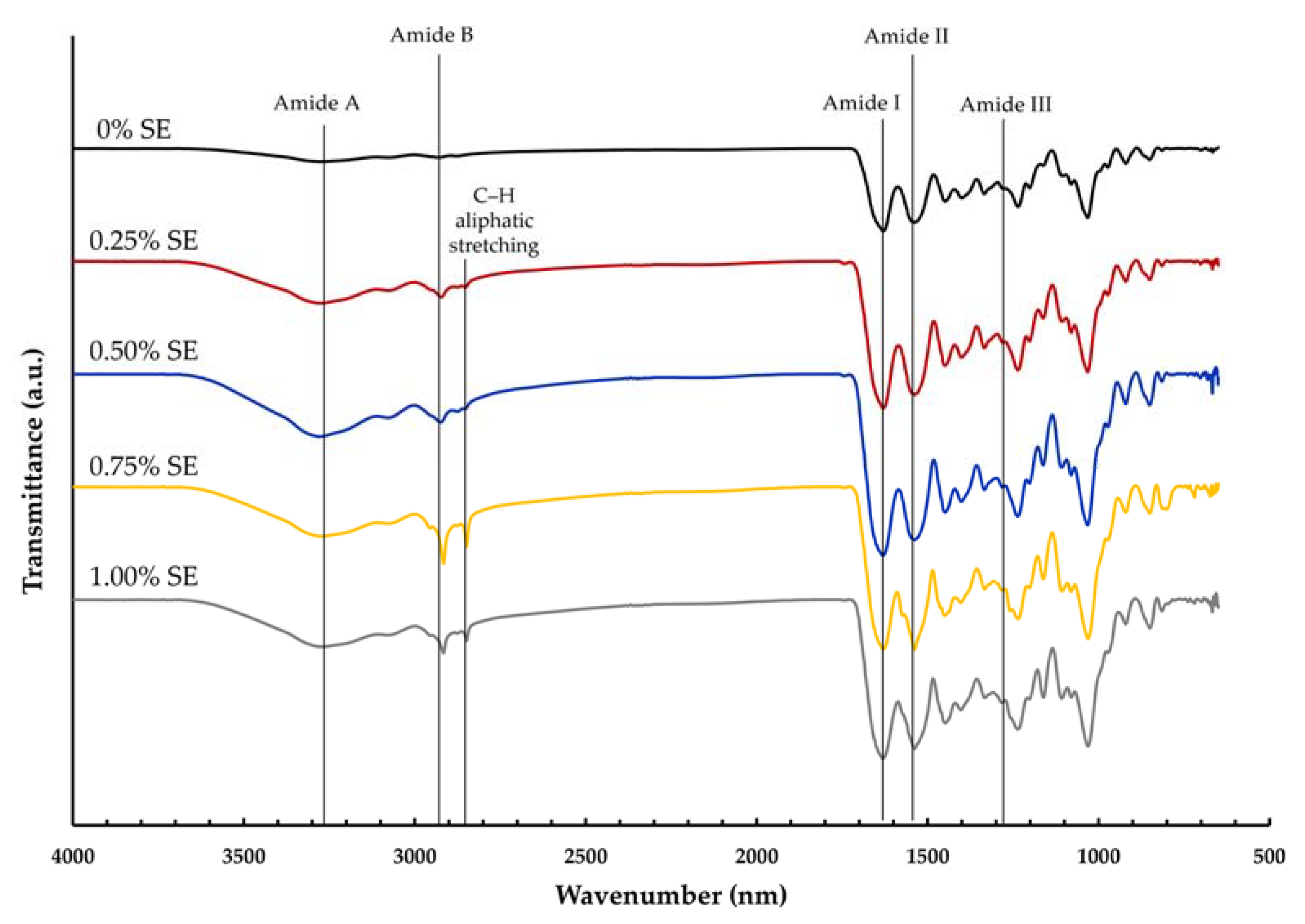 Polymers 14 02487 g002