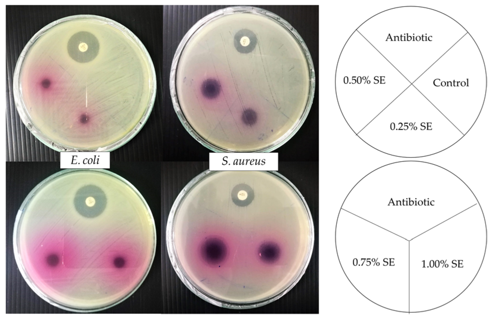 Polymers 14 02487 g003