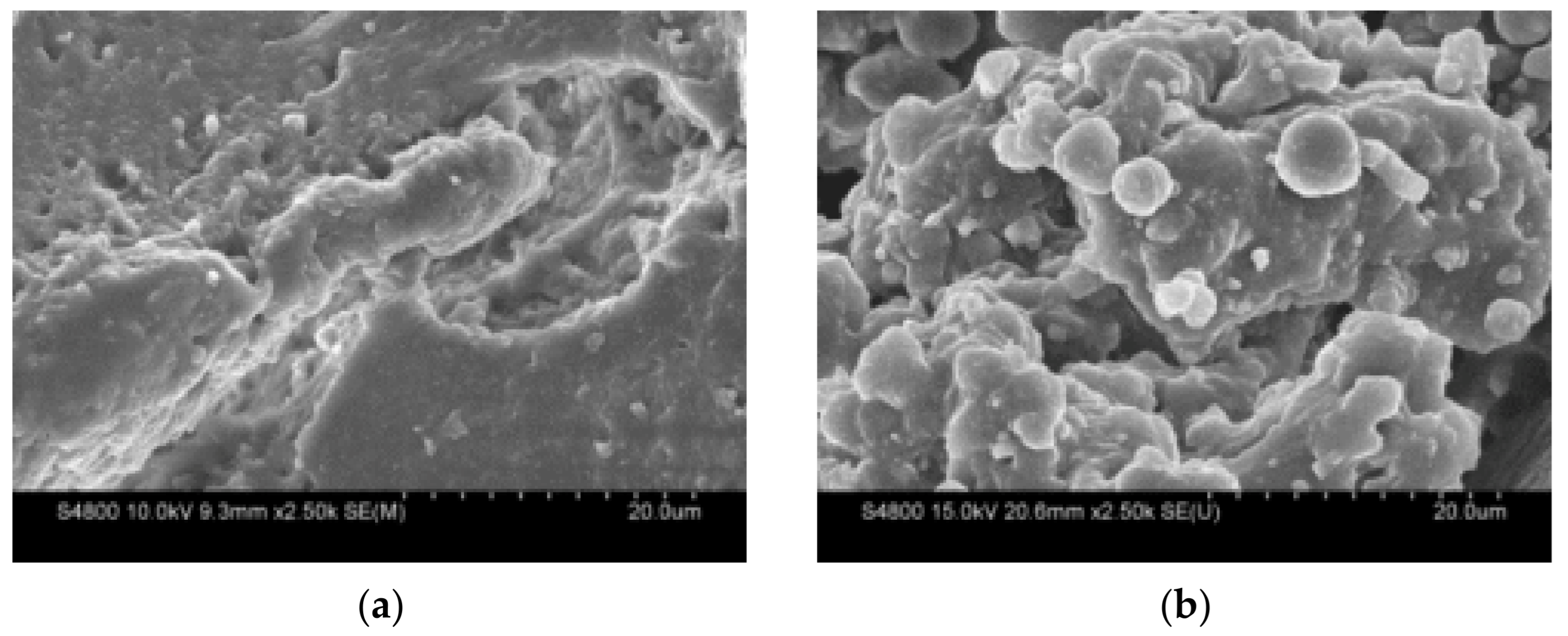 Polymers 14 02490 g010a