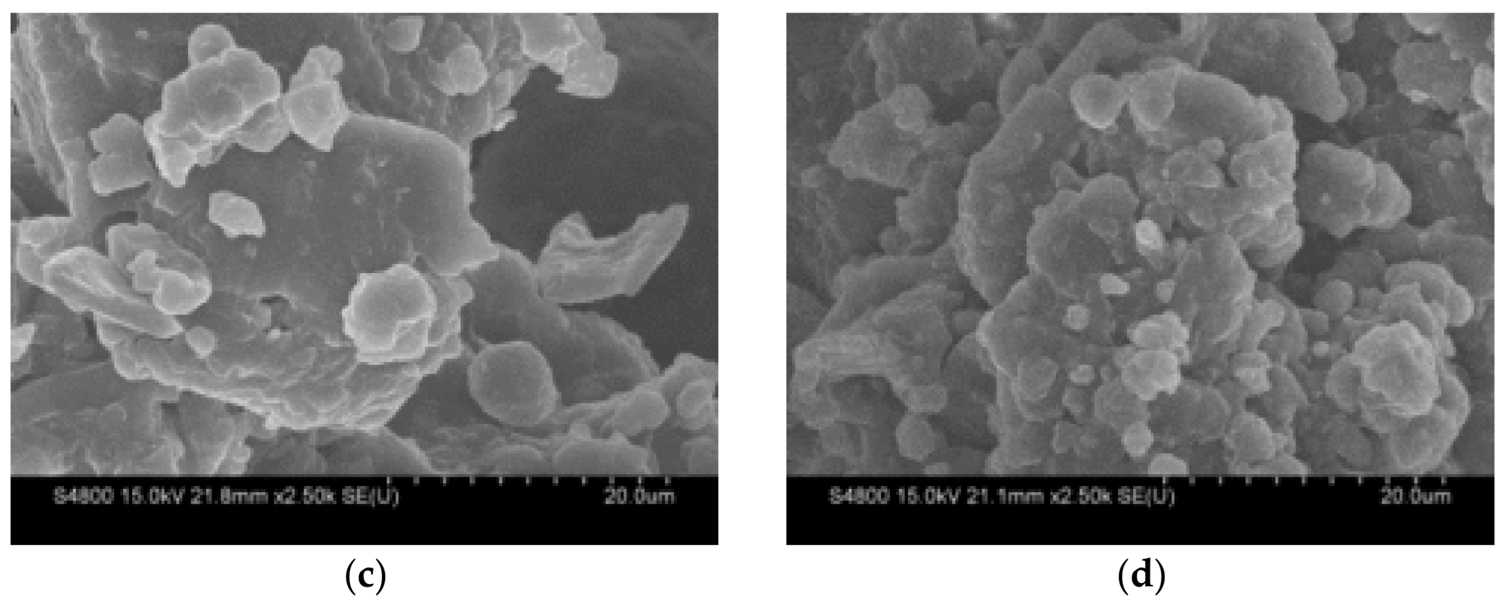 Polymers 14 02490 g010b