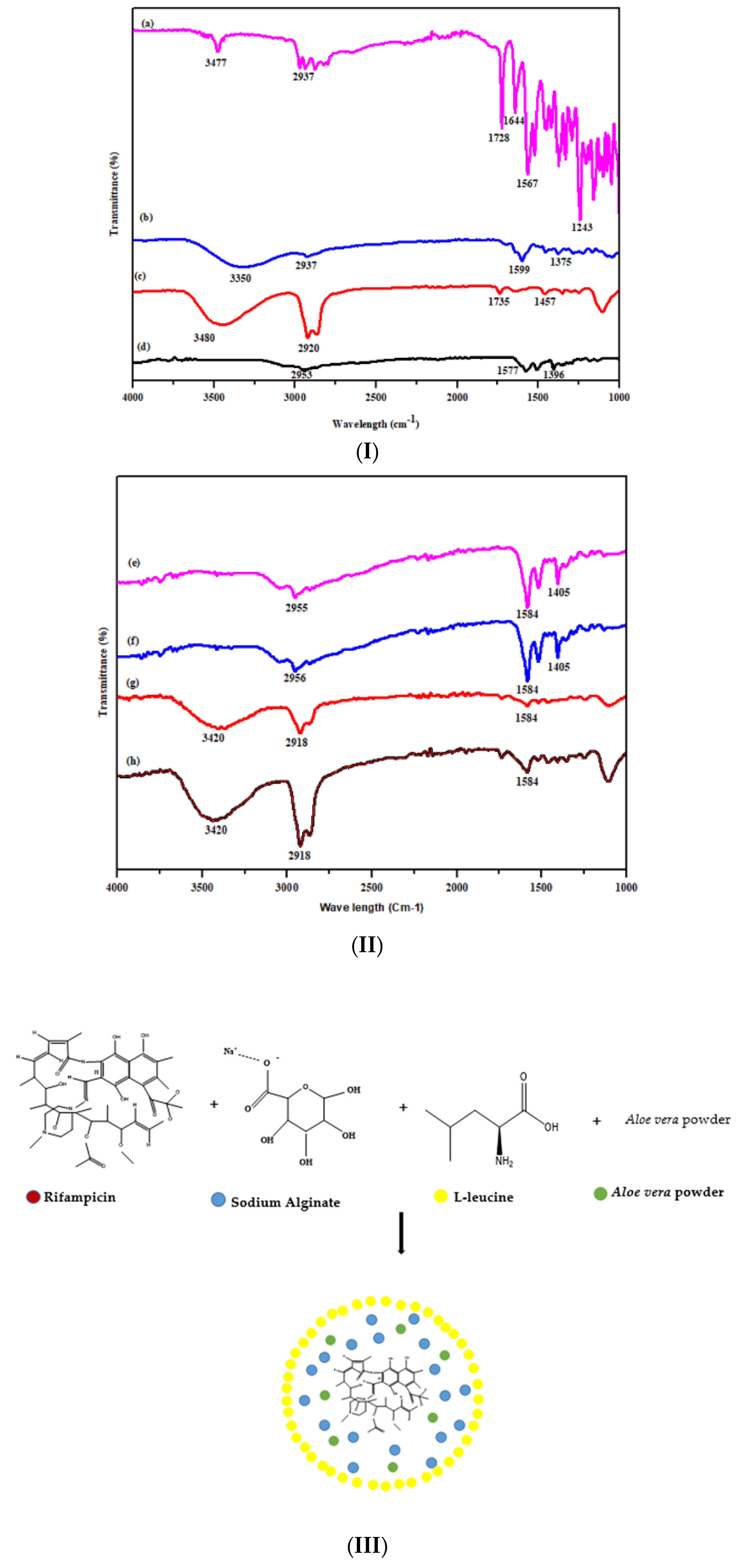 Polymers 14 02491 g004 Polymers 14 02491 g004