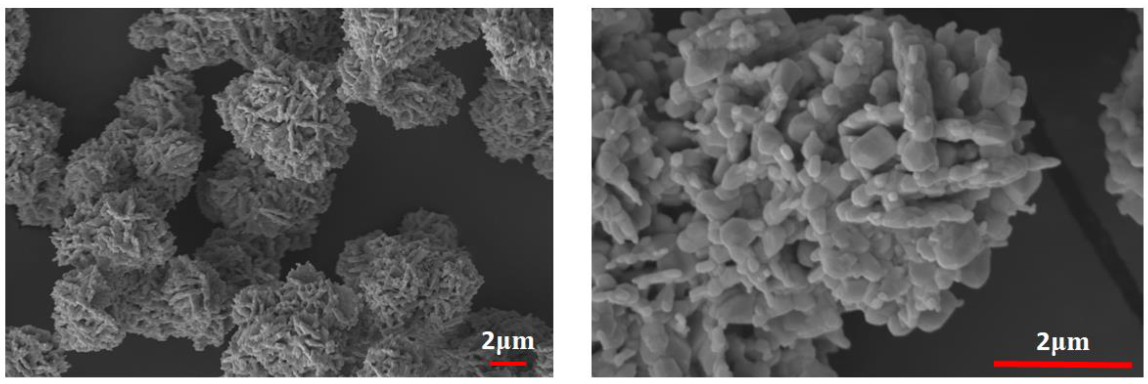 Polymers 14 02492 g002