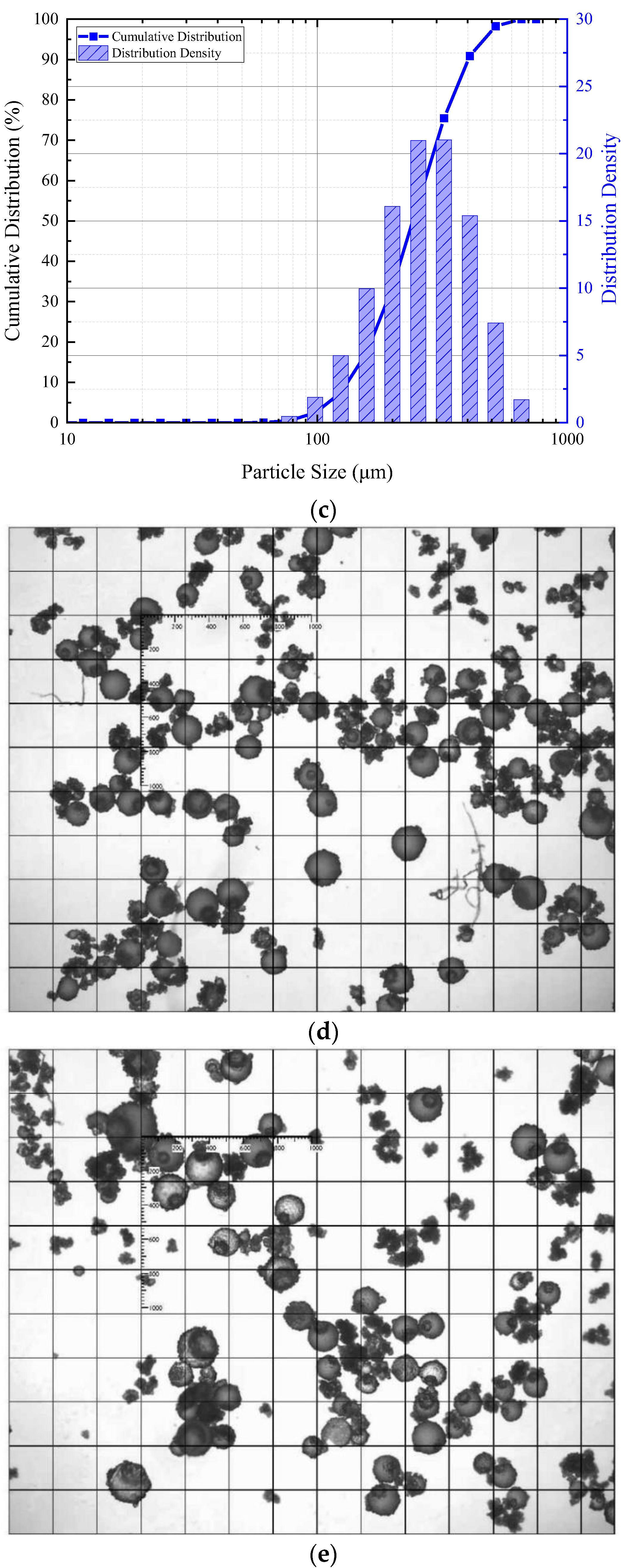 Polymers 14 02497 g001b