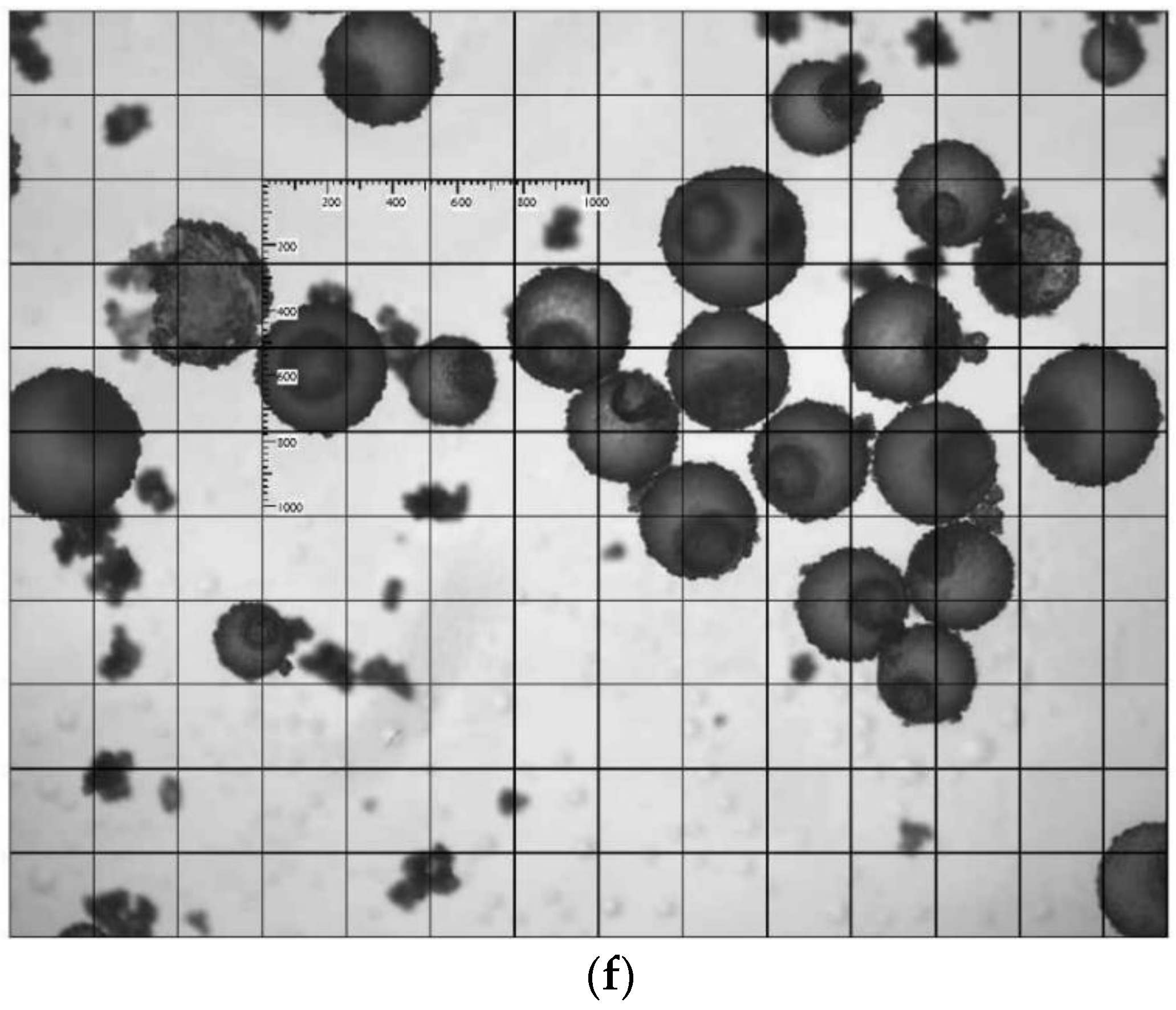 Polymers 14 02497 g001c