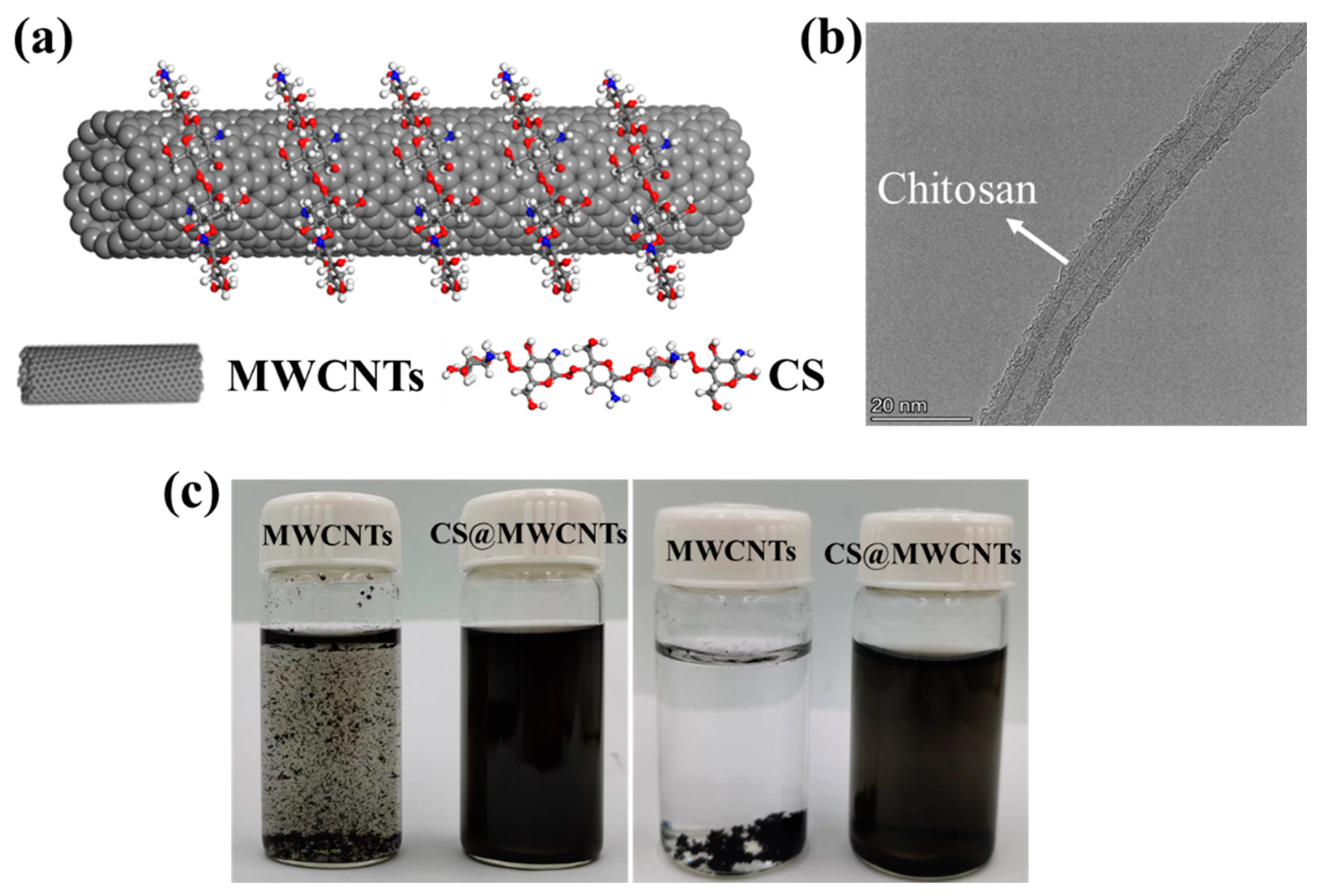 Polymers 14 02512 g003
