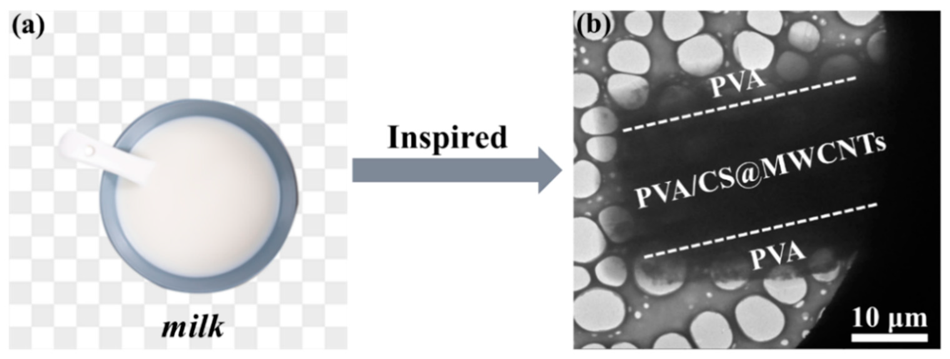 Polymers 14 02512 g005