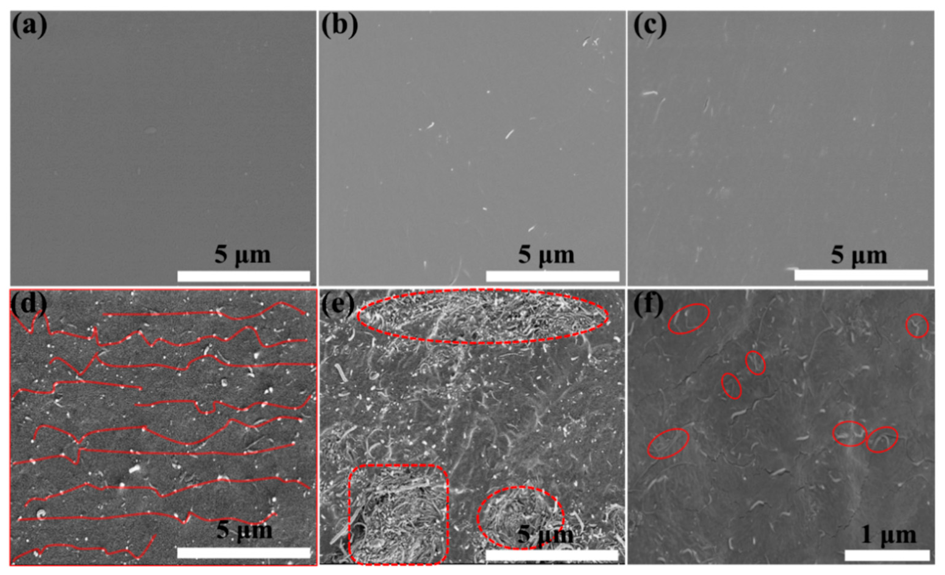 Polymers 14 02512 g006