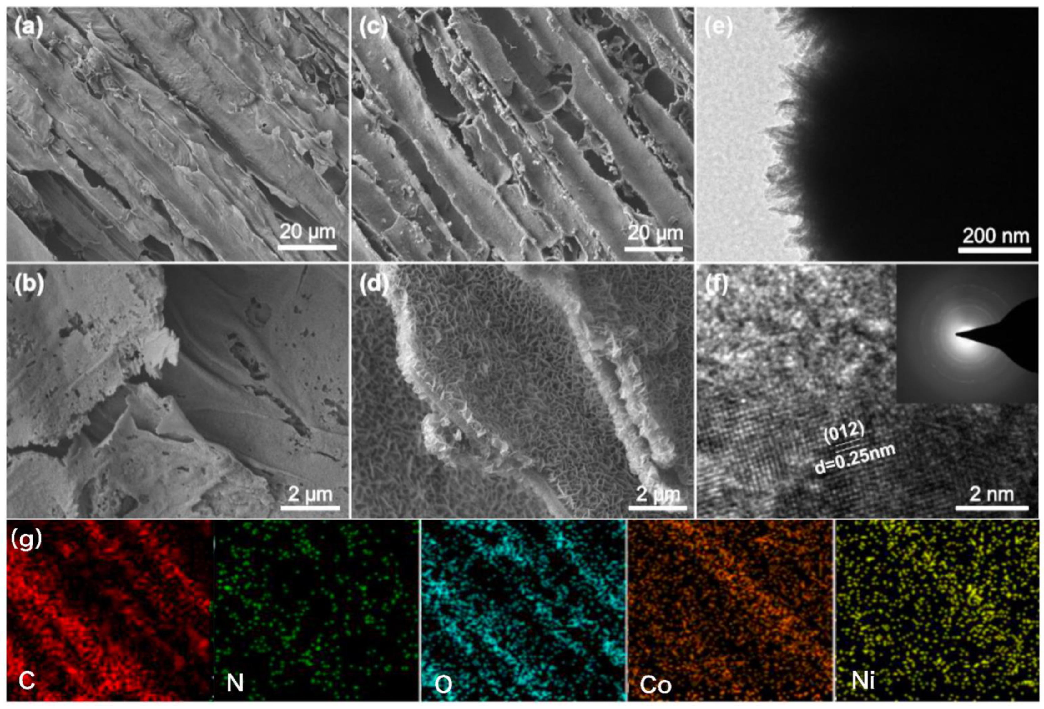 Polymers 14 02521 g001