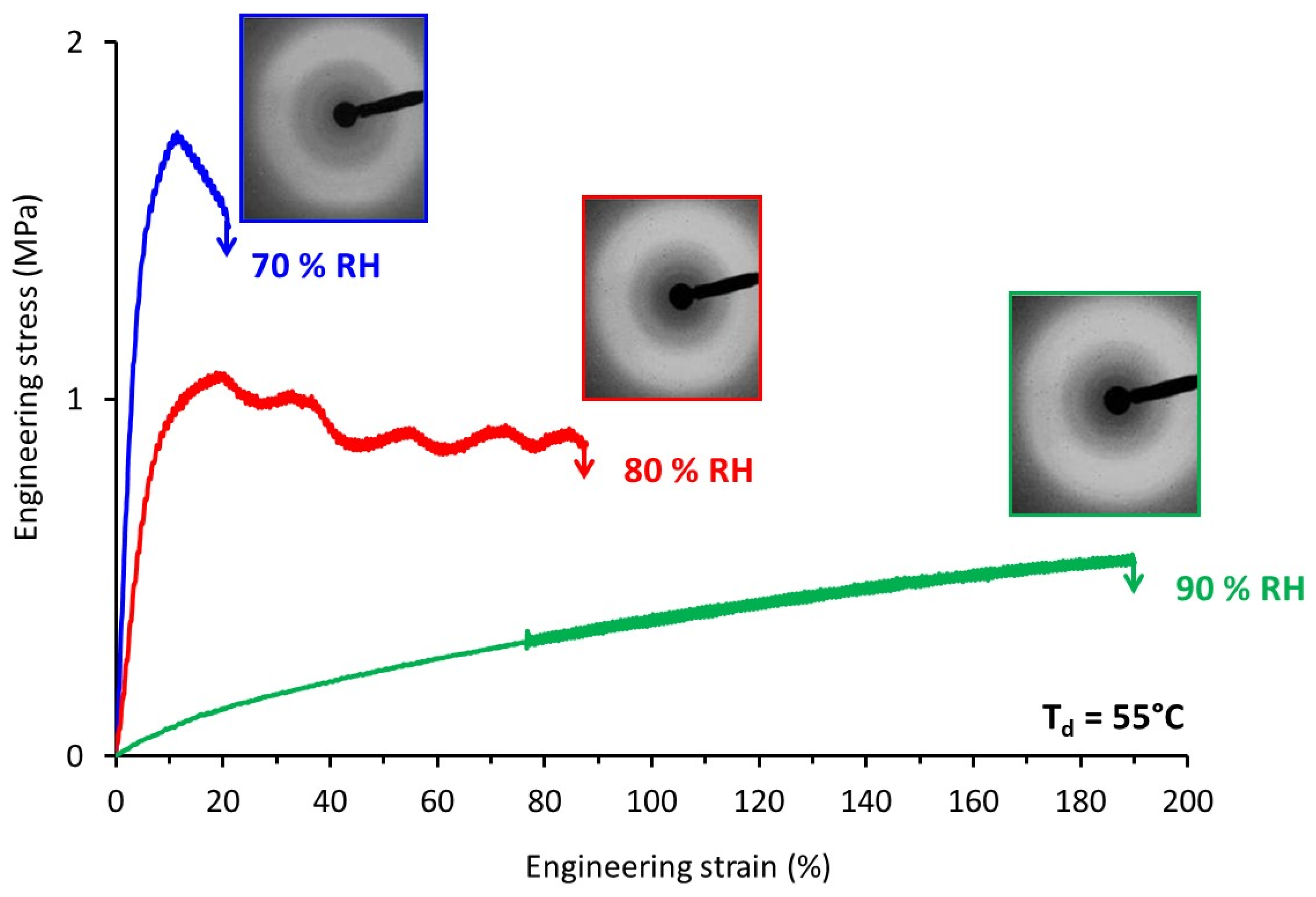Polymers 14 02531 g006
