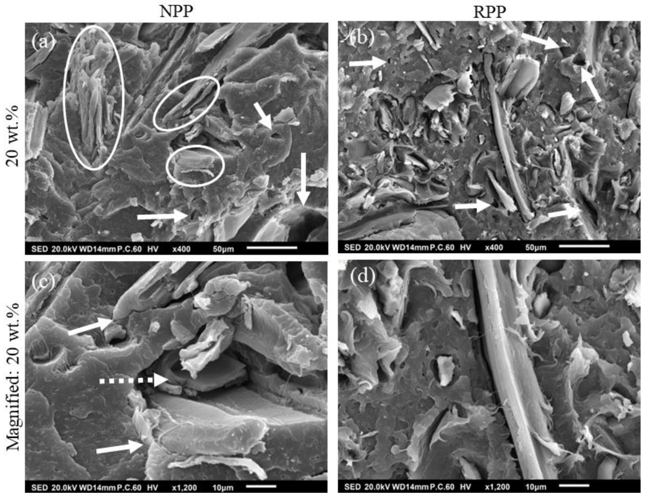 Polymers 14 02539 g004