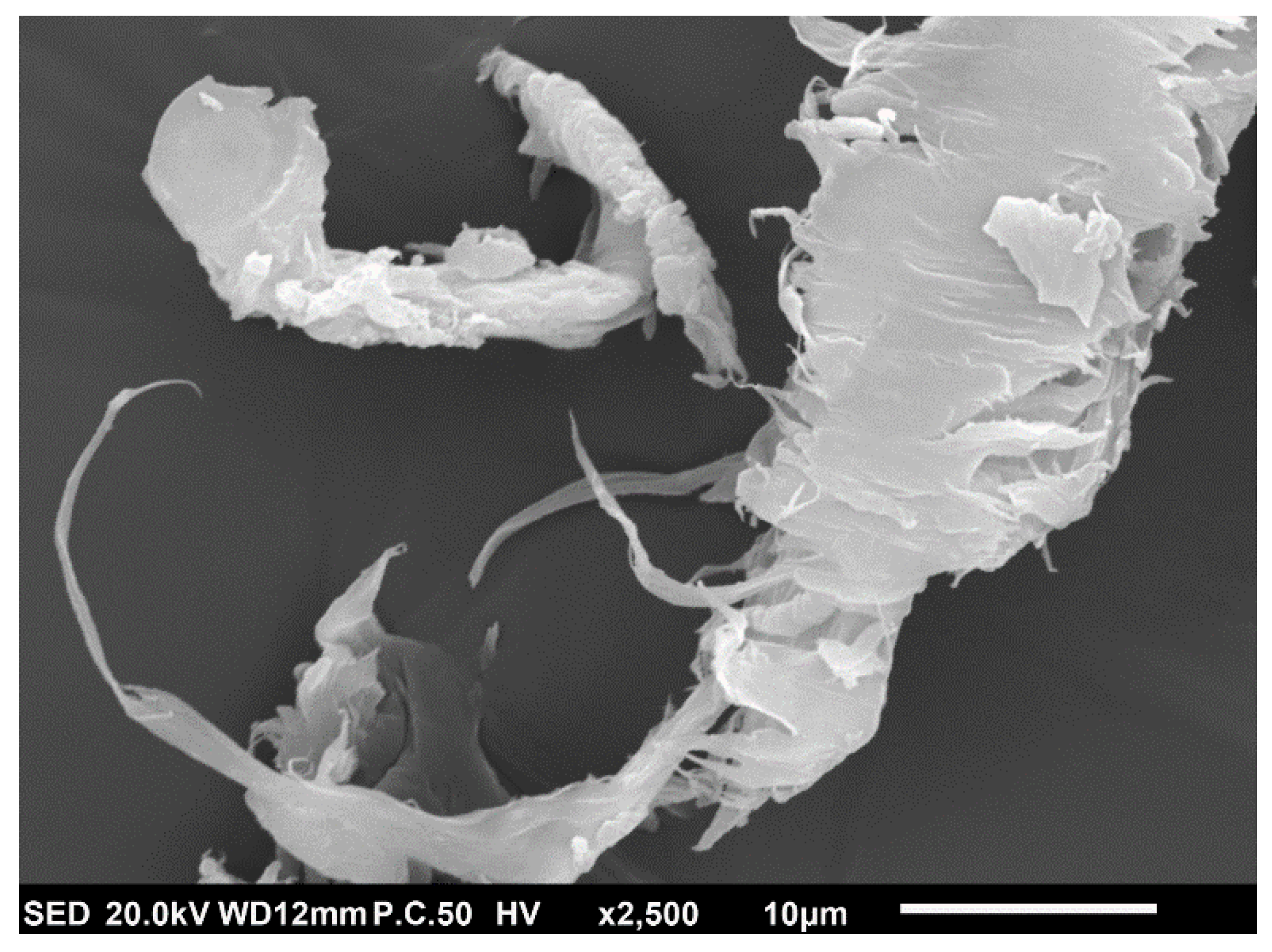 Polymers 14 02539 g006