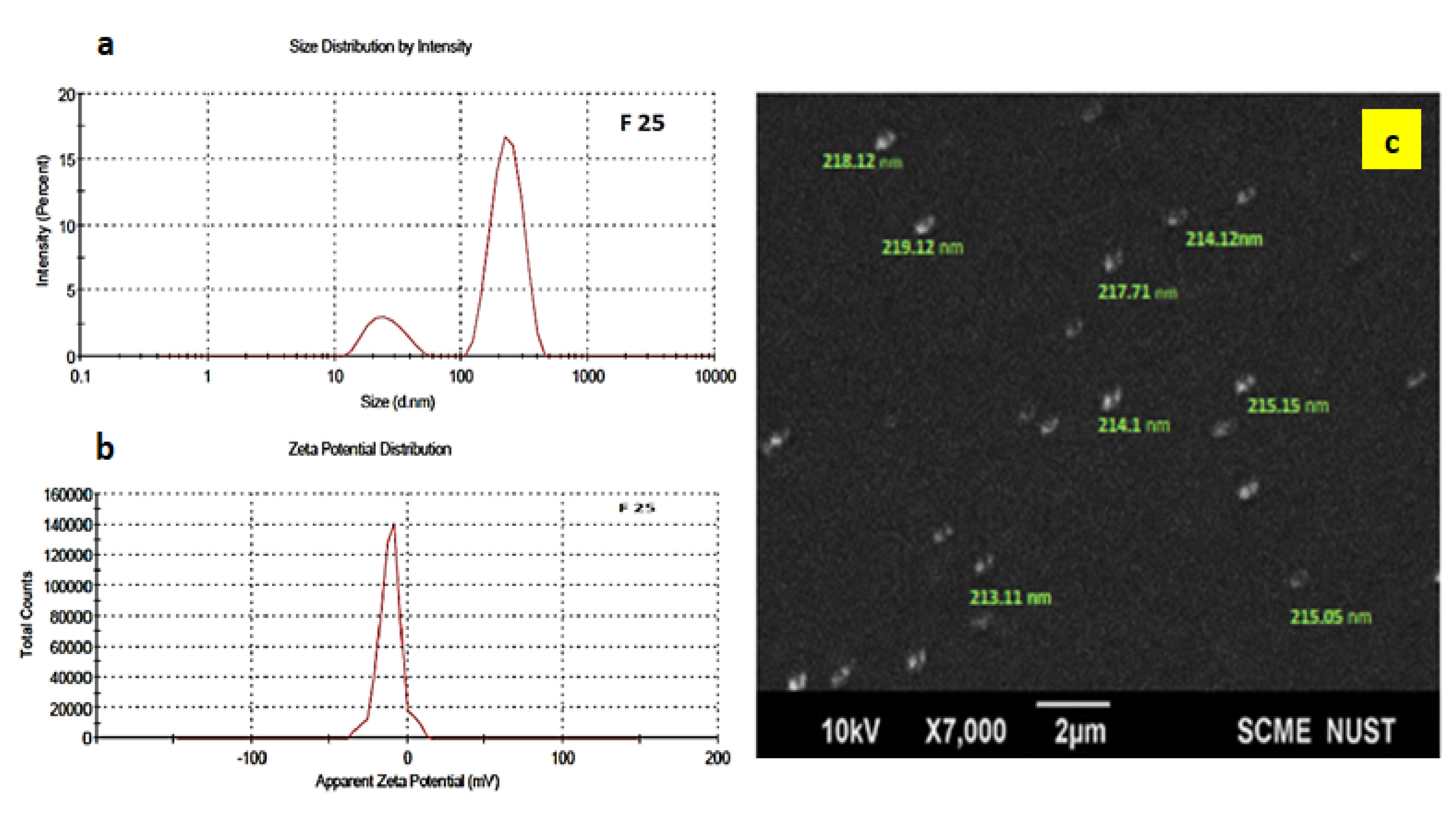 Polymers 14 02540 g003