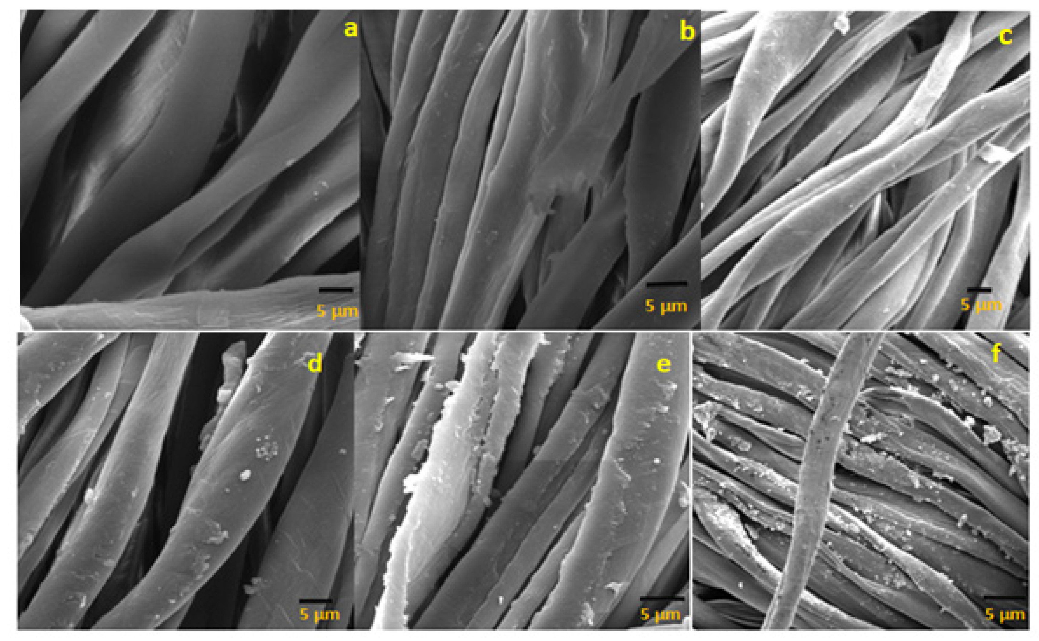 Polymers 14 02540 g004