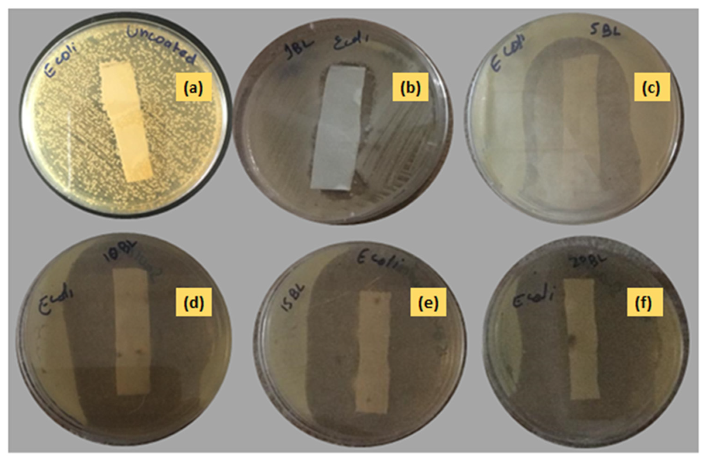 Polymers 14 02540 g010