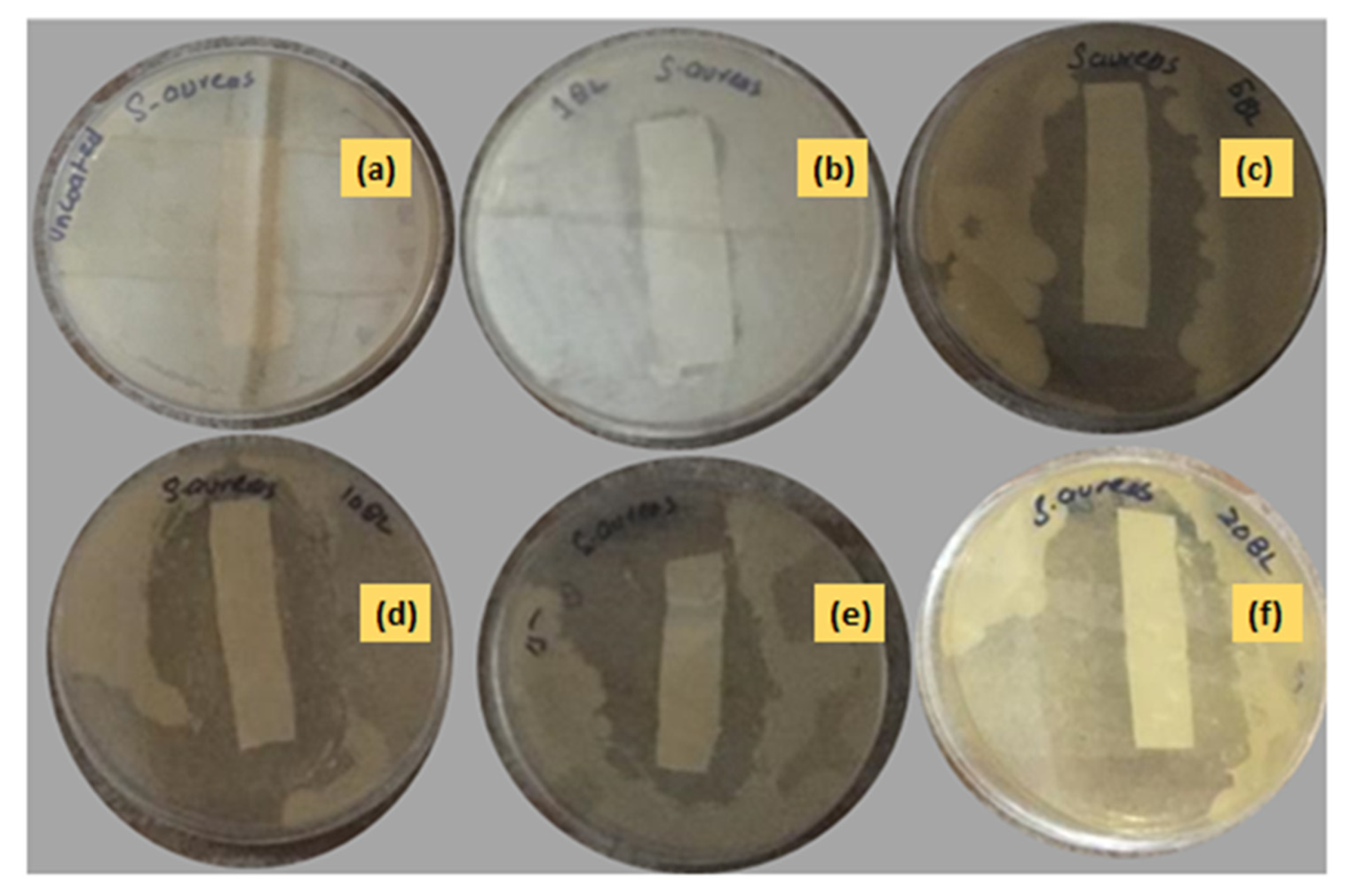 Polymers 14 02540 g011