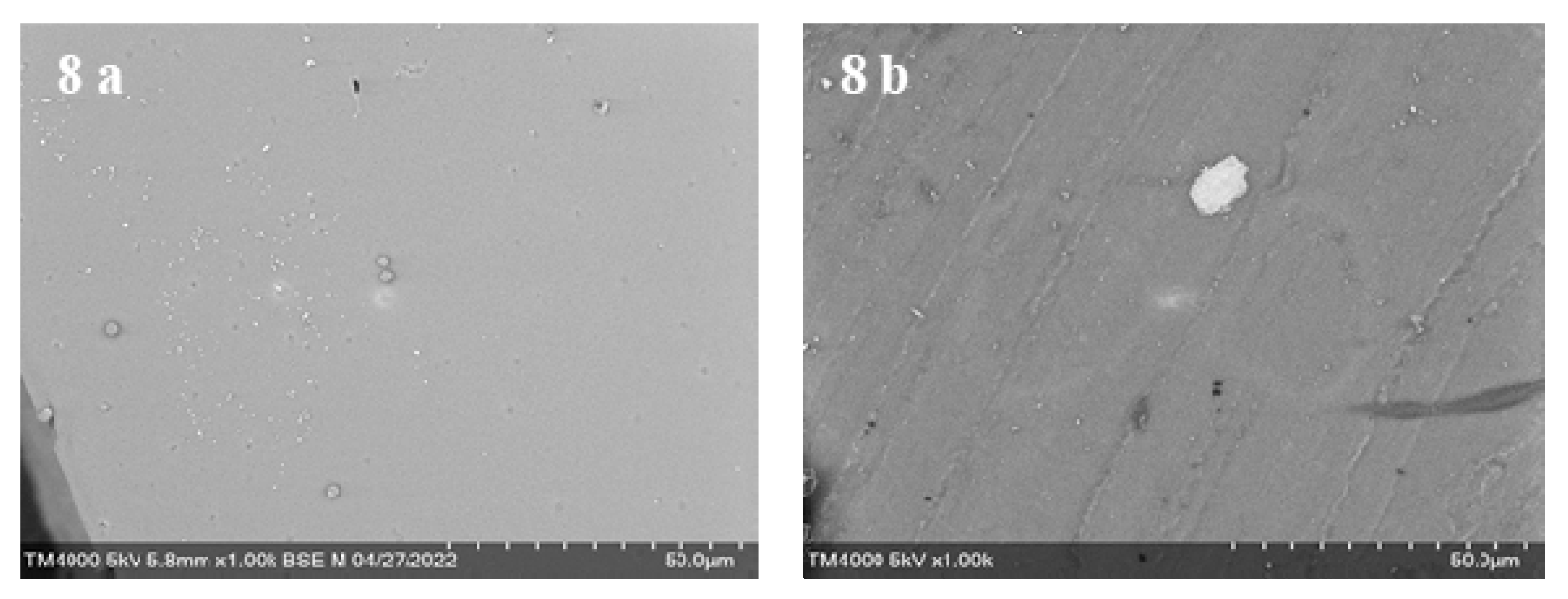 Polymers 14 02554 g007a