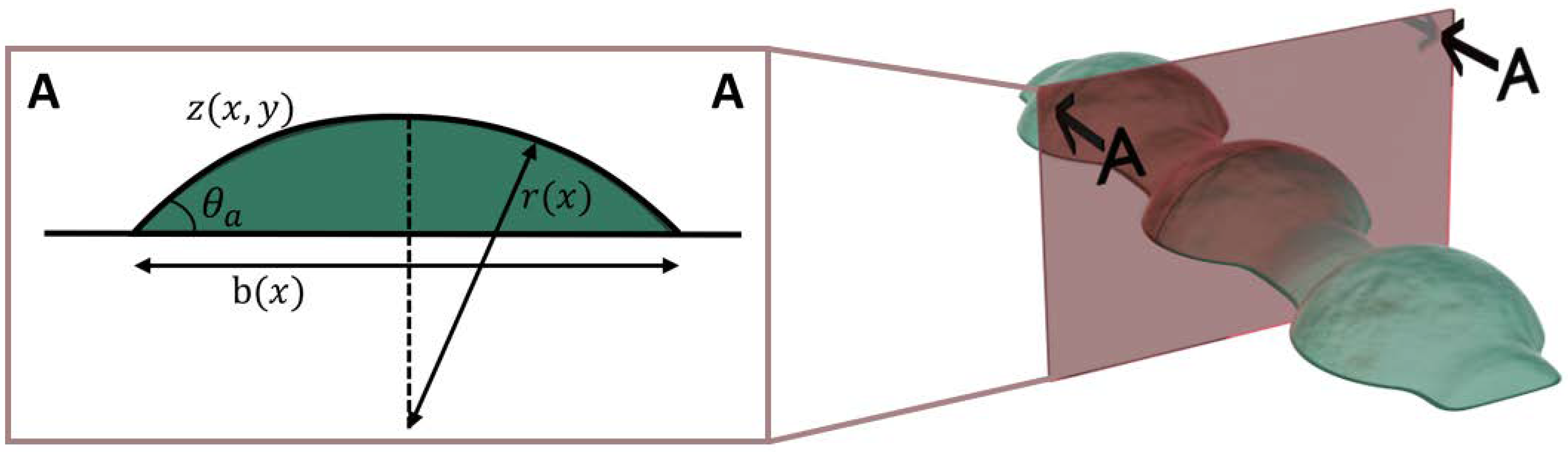 Polymers 14 02557 g004